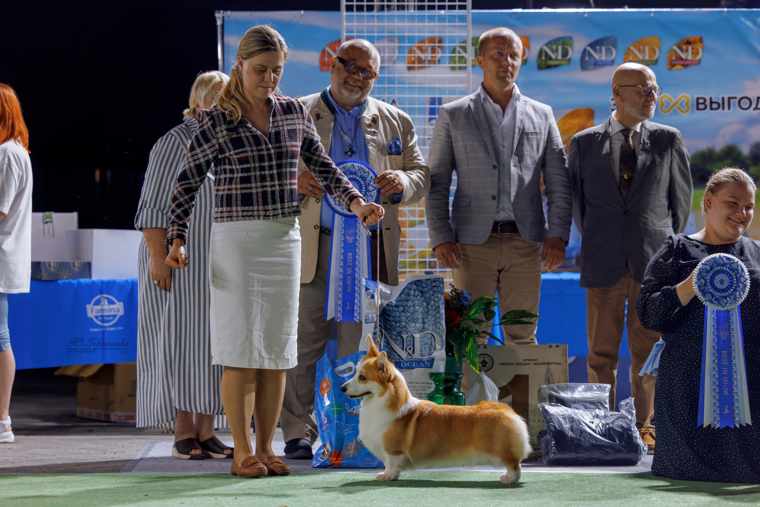 Калининград 25-27.07 Волгоград 1-3.08 2025. Фотограф-анималист Юлия Германика