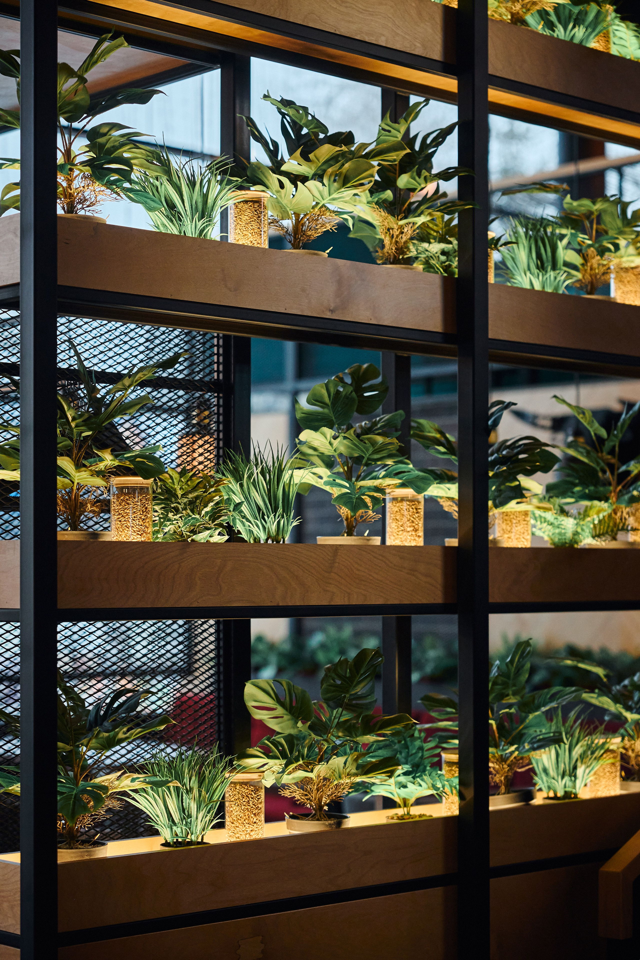 Шашлыкофф. Бизнес портрет Аэросъемка Интерьерная съемка Тюмень