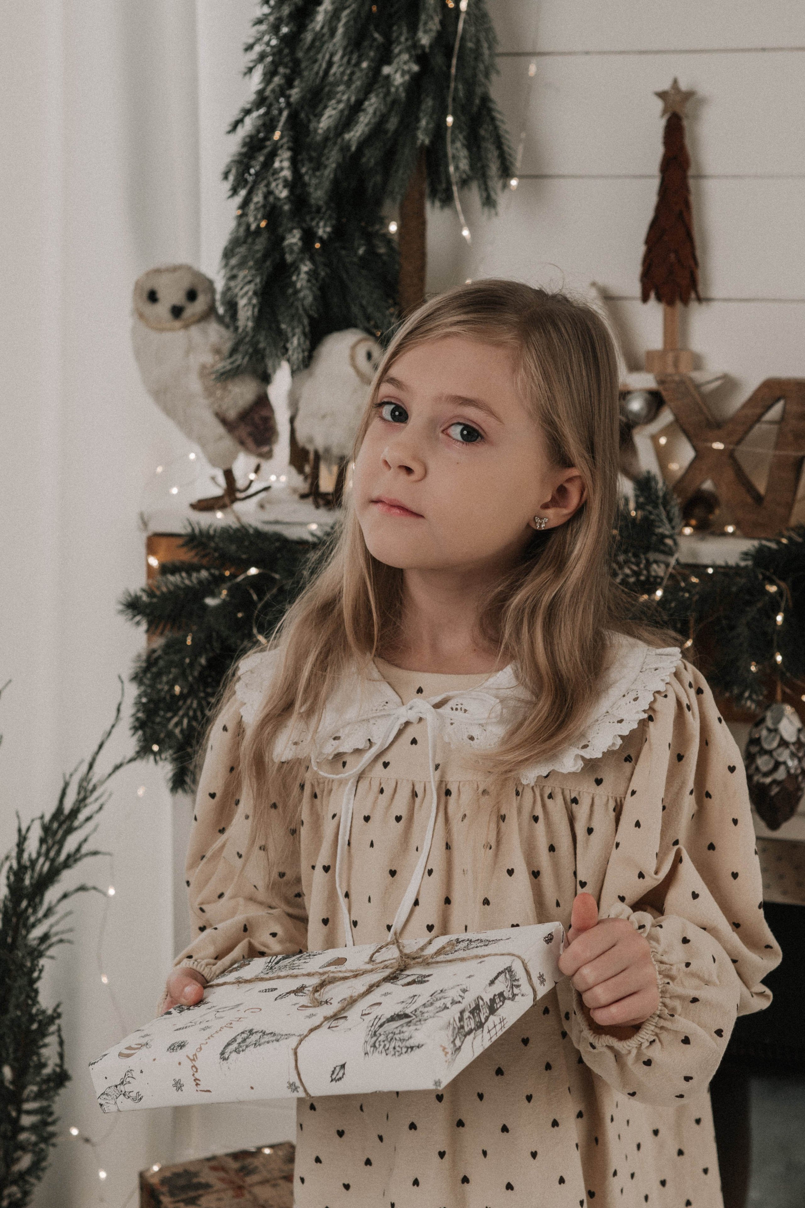 Новогодняя. Портретный фотограф Павлова Светлана / Брянск /