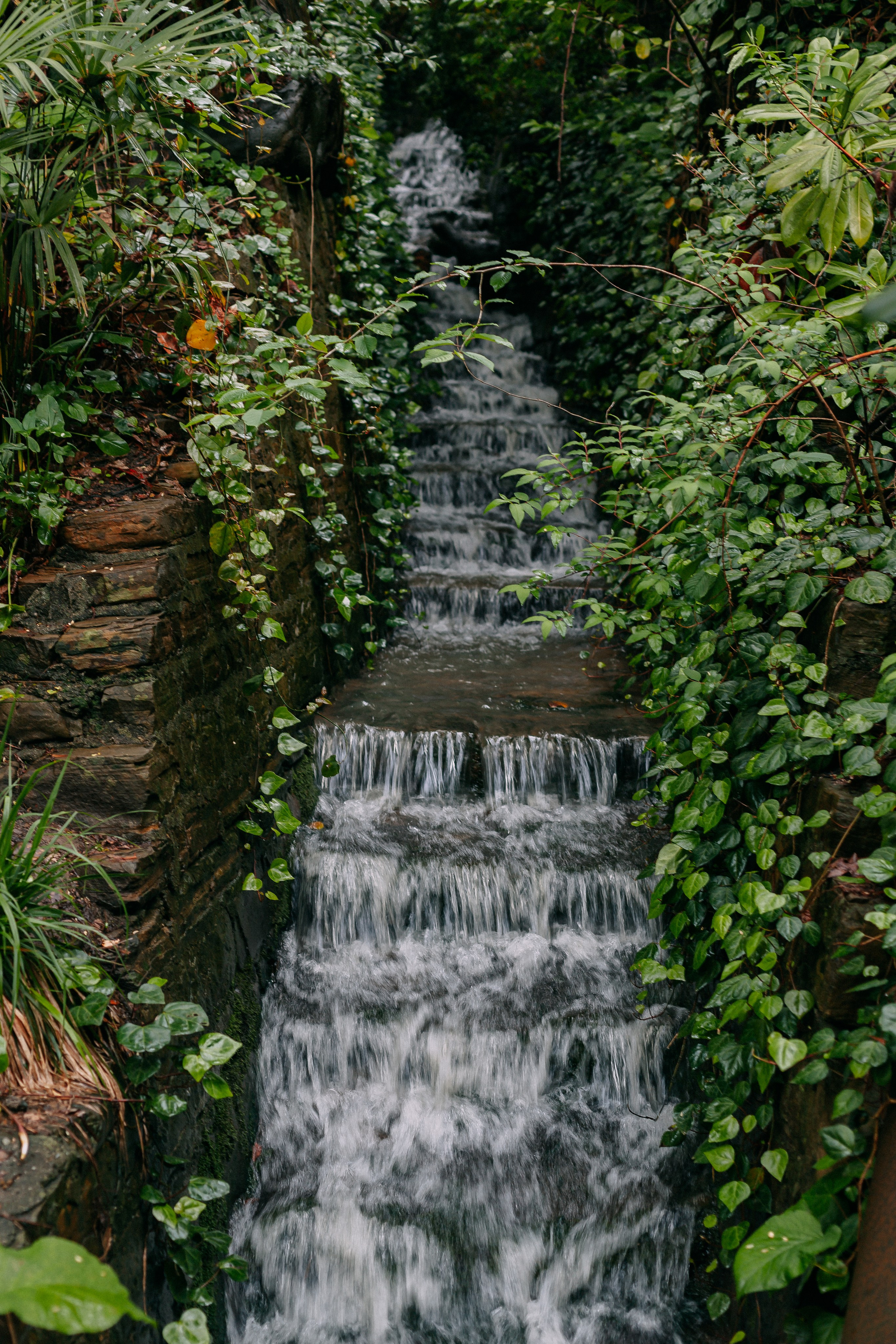 Сочи. Аня Степанова