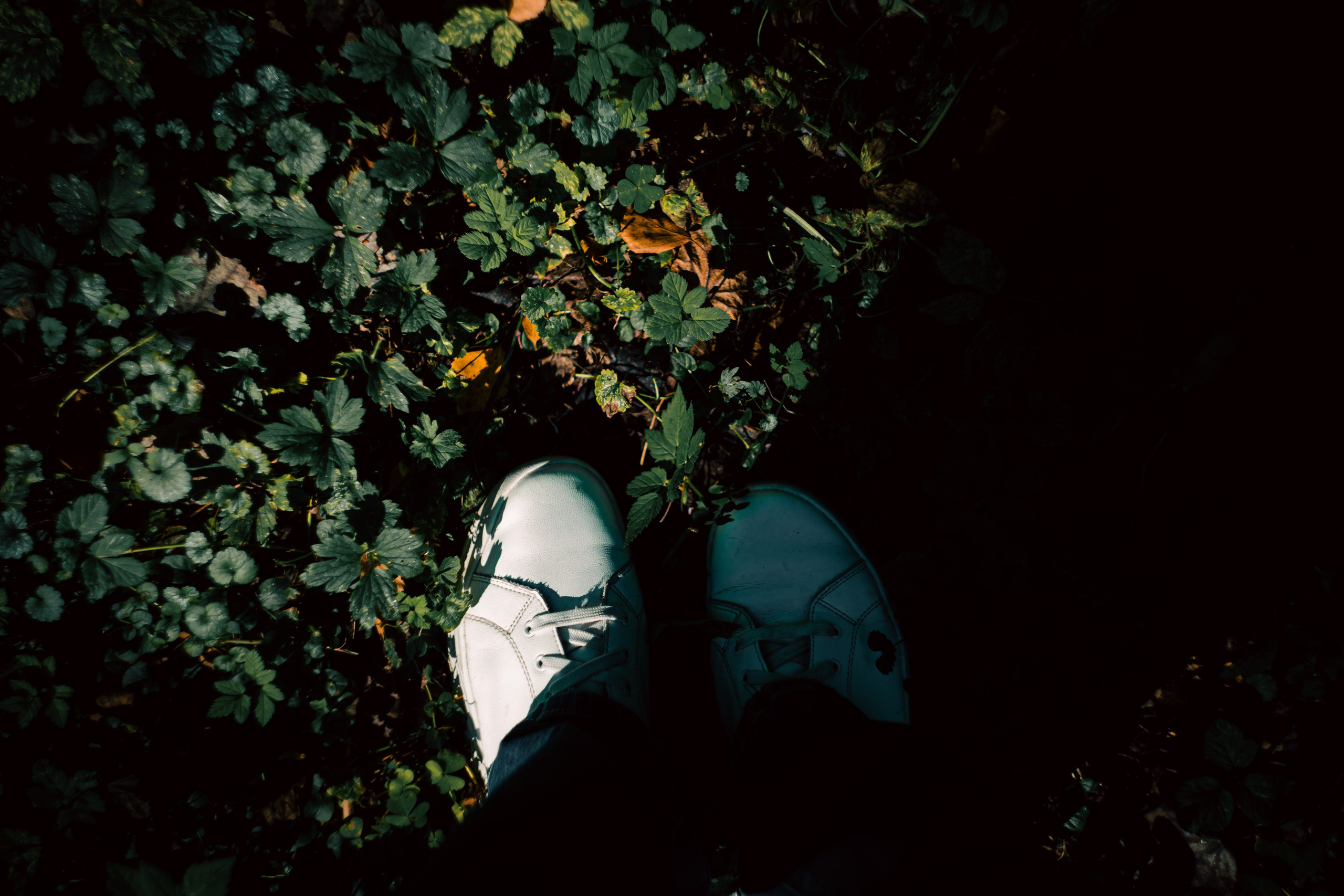 Сентябрь 2024. Efremovaphoto.ru