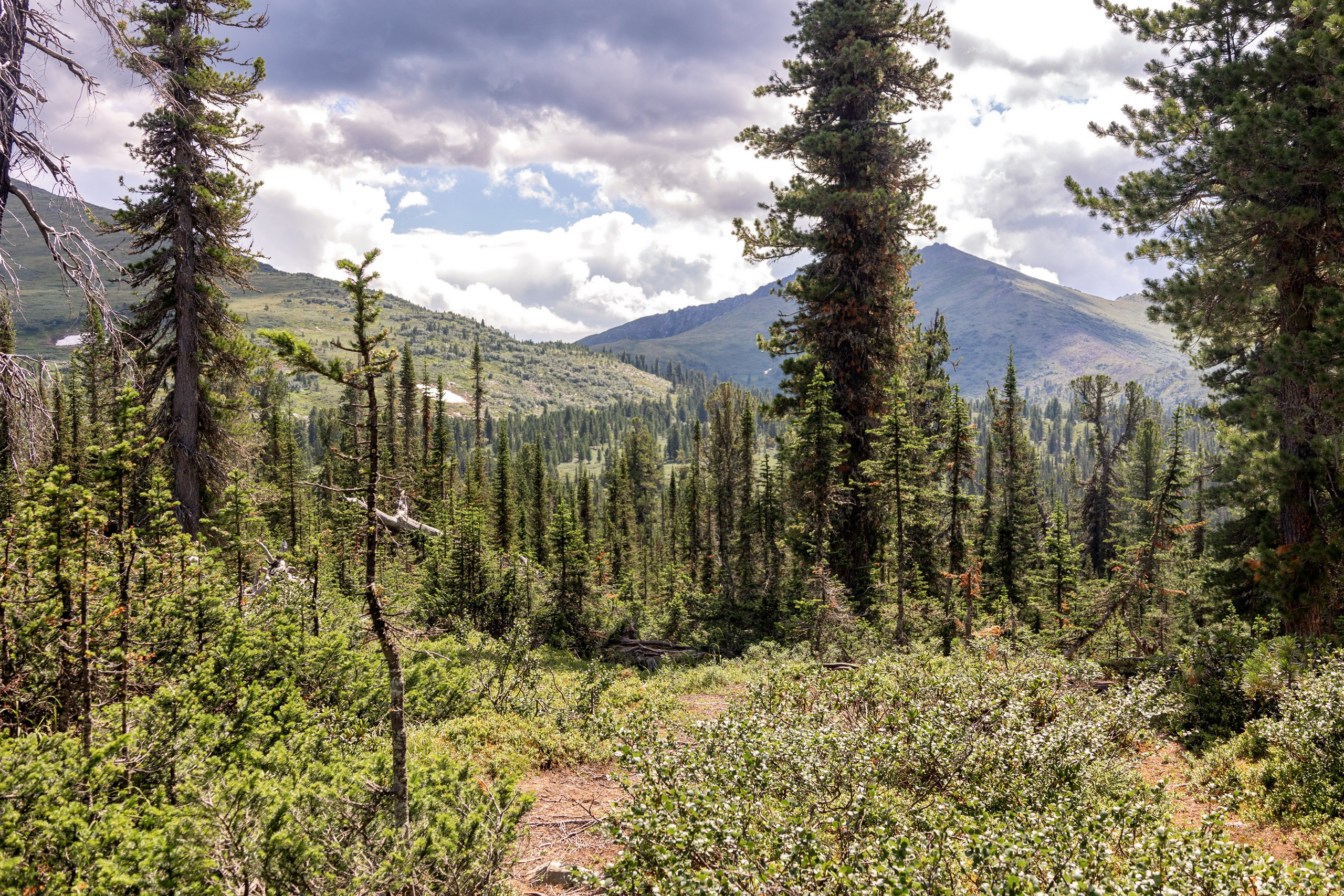 Ергаки. Семейный и детский фотограф в Красноярске, Дивногорцева Светлана