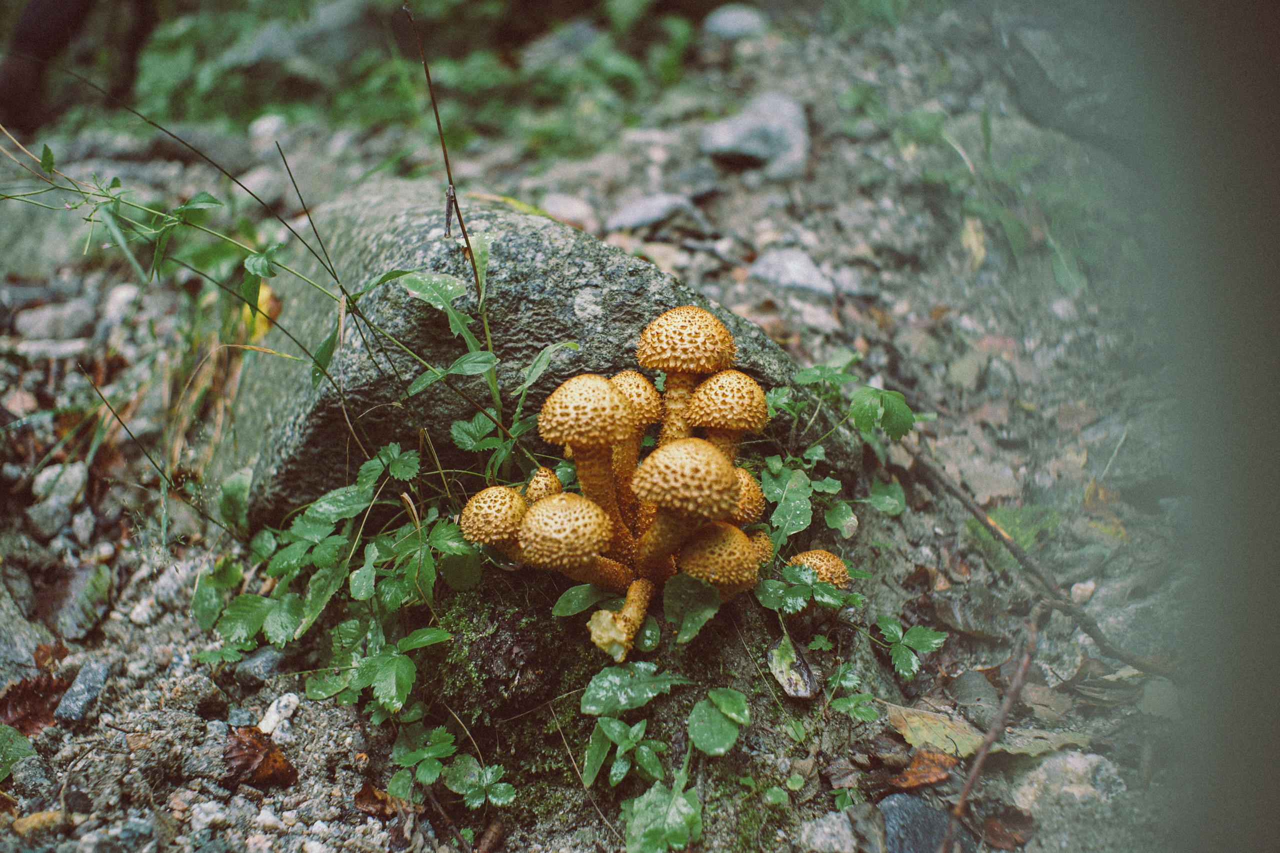 Блог про Верхнюю Балкарию. NECULTURED PHOTOGRAPHER