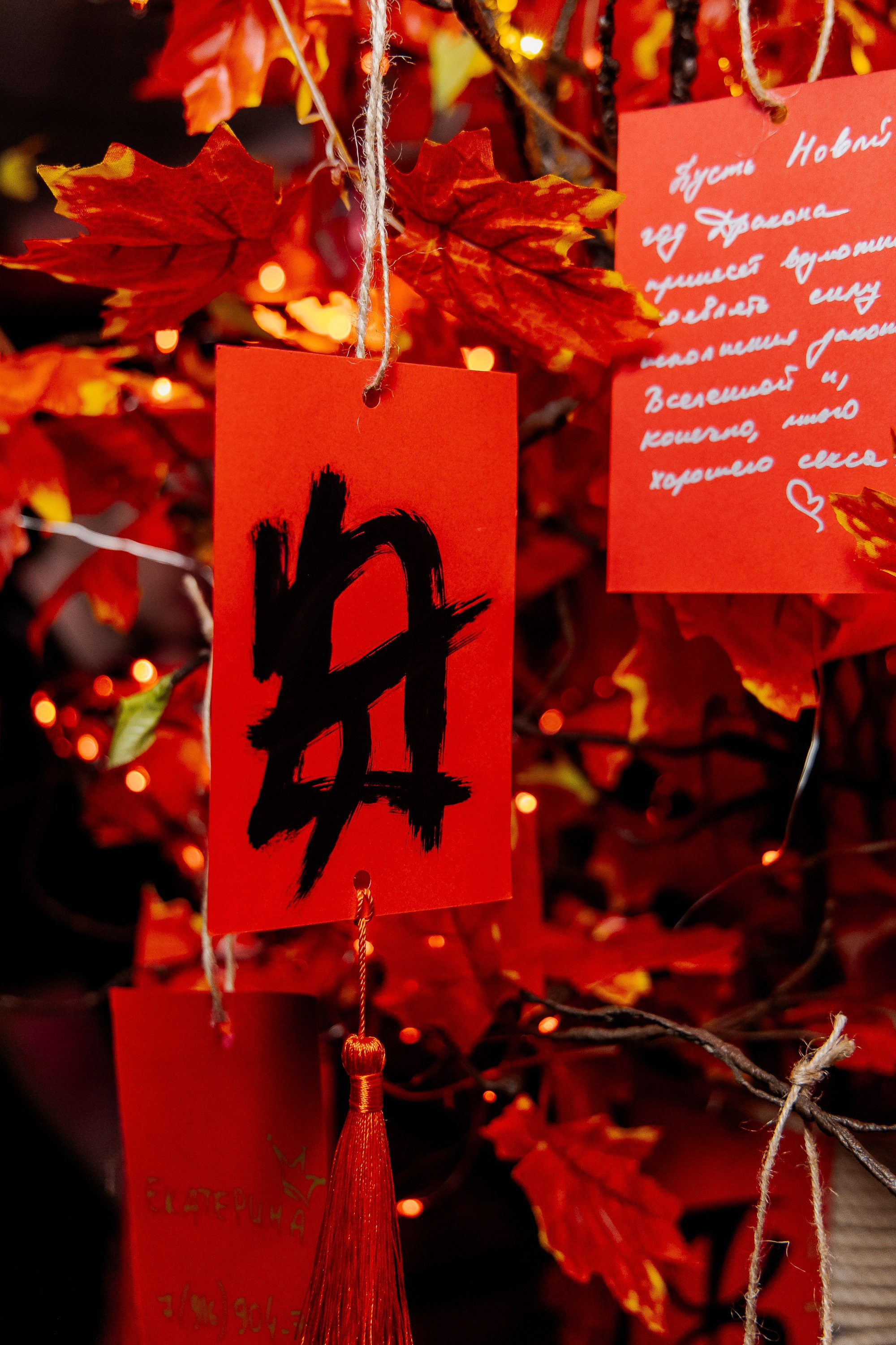 Портфолио мероприятий и людей. Фотограф и Видеограф мероприятий в Москве