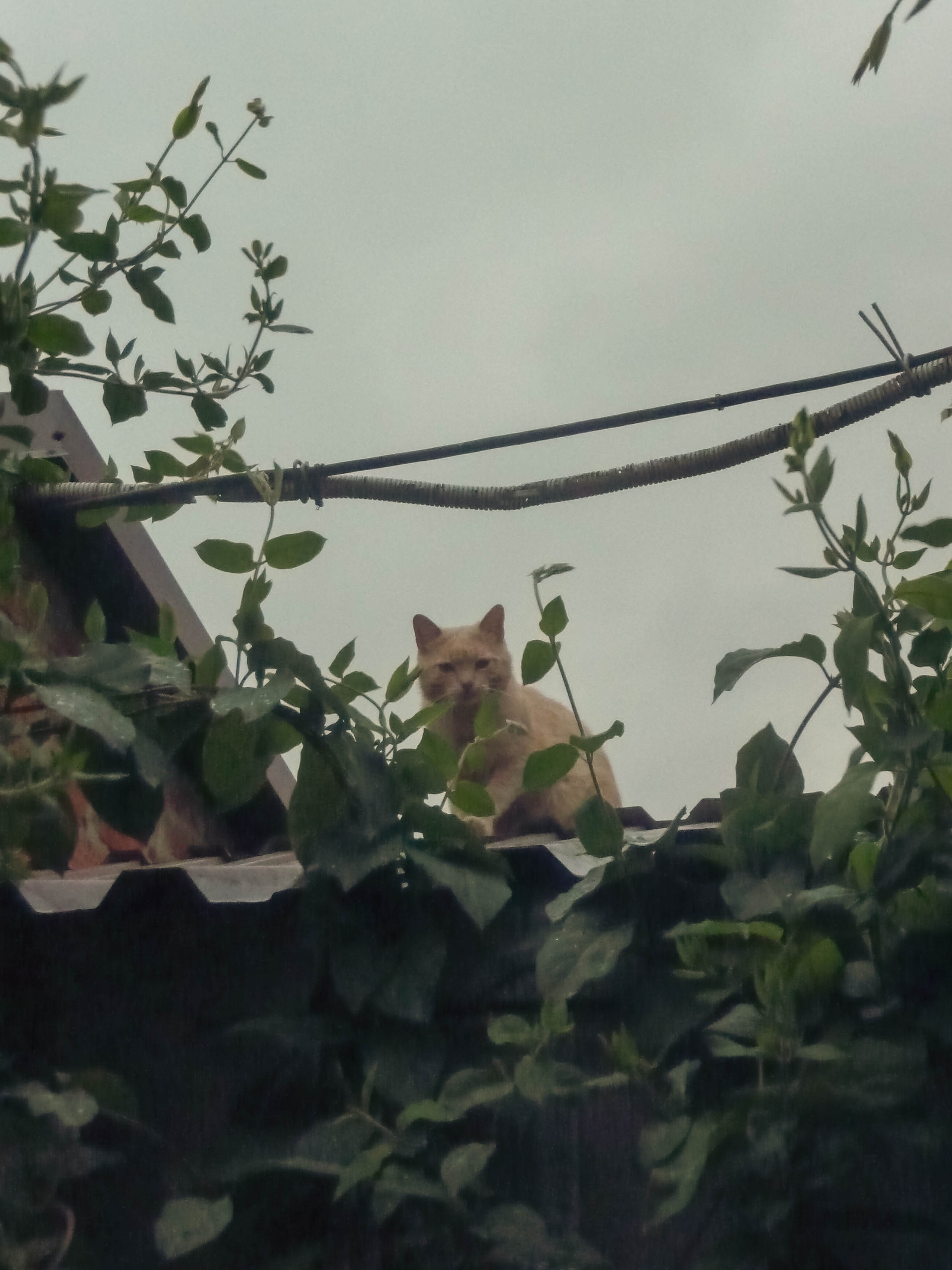 Внутри. Фотограф Анастасия Лощакова в Москве