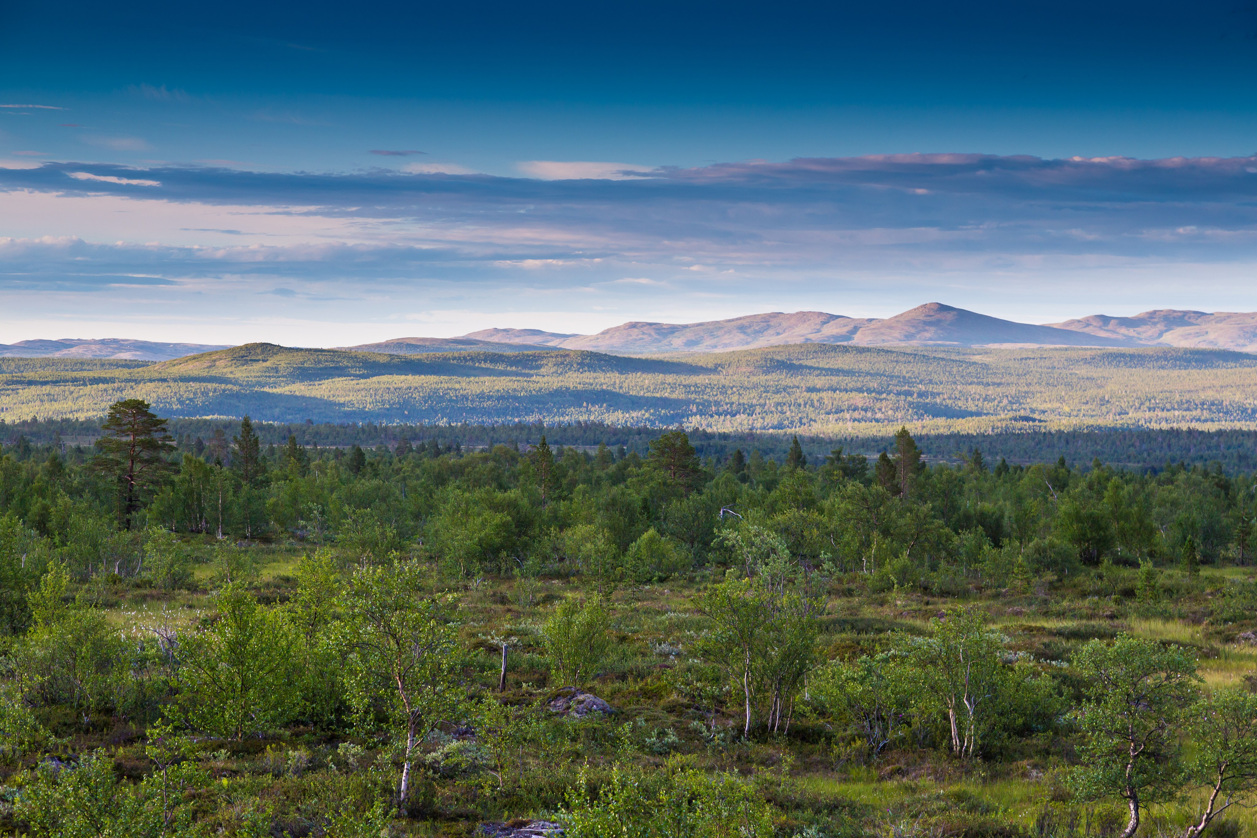 Тундра Лес и Сопки. Пейзажи Крайнего Севера. Баренцево море, Рыбачий, Средний, Немецкий