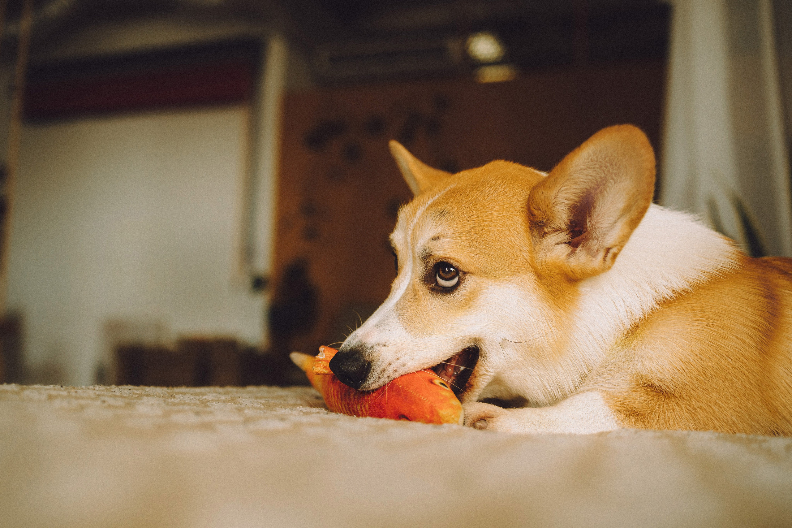 Наталья, Евгений и Мерлин