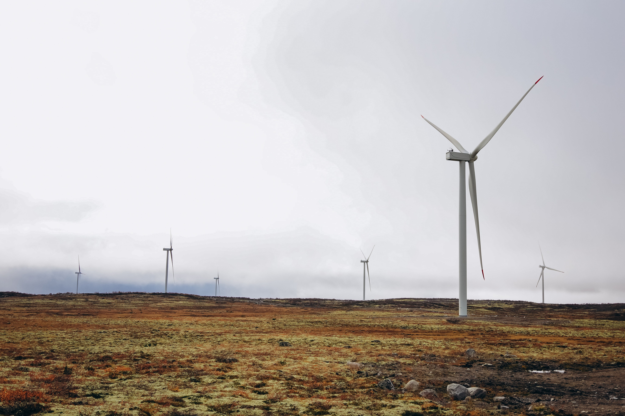 СЕВЕР. Event фотограф Степанова Александра