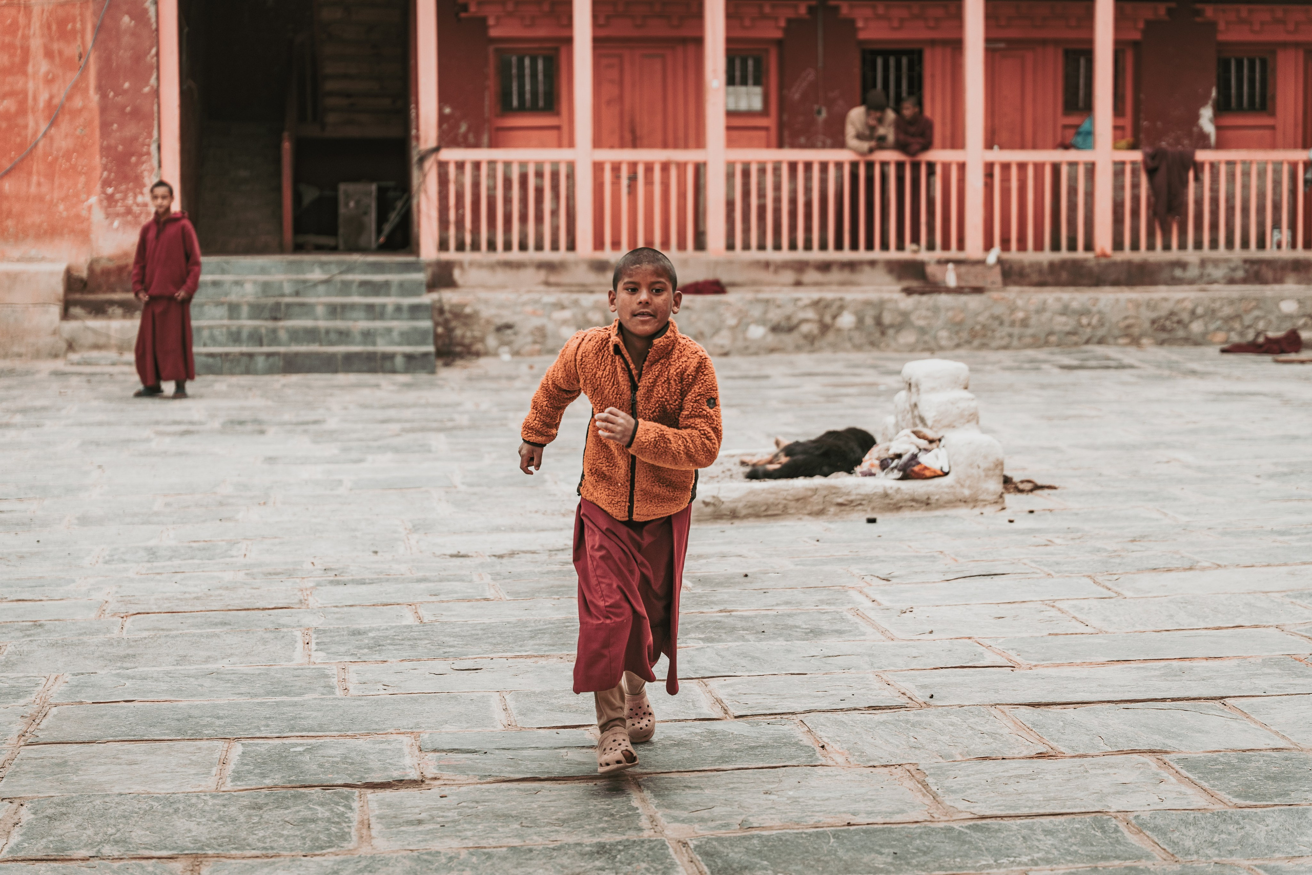 Королевство Мустанг. Dmitry Ippolitov