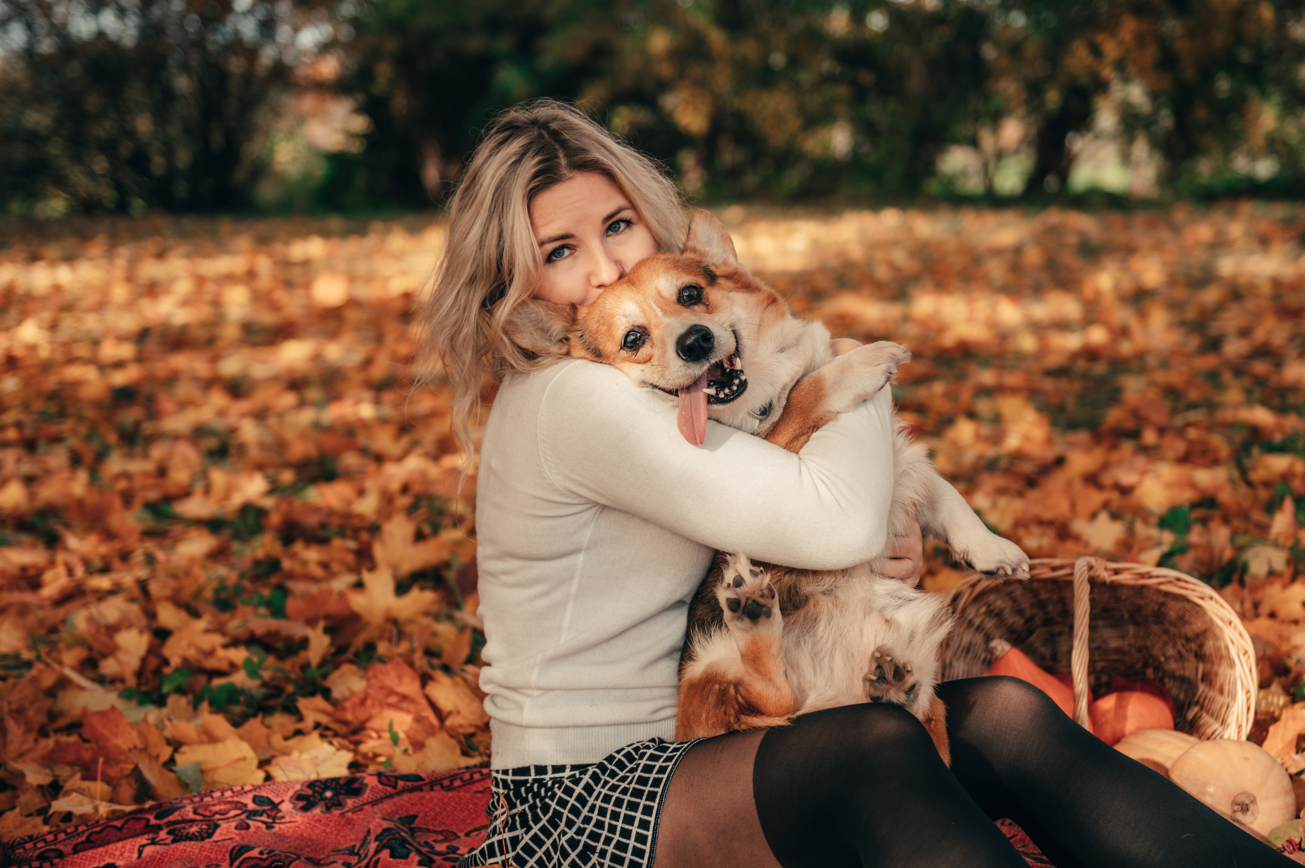 Все краски осени. Свадебный и семейный фотограф София Невская