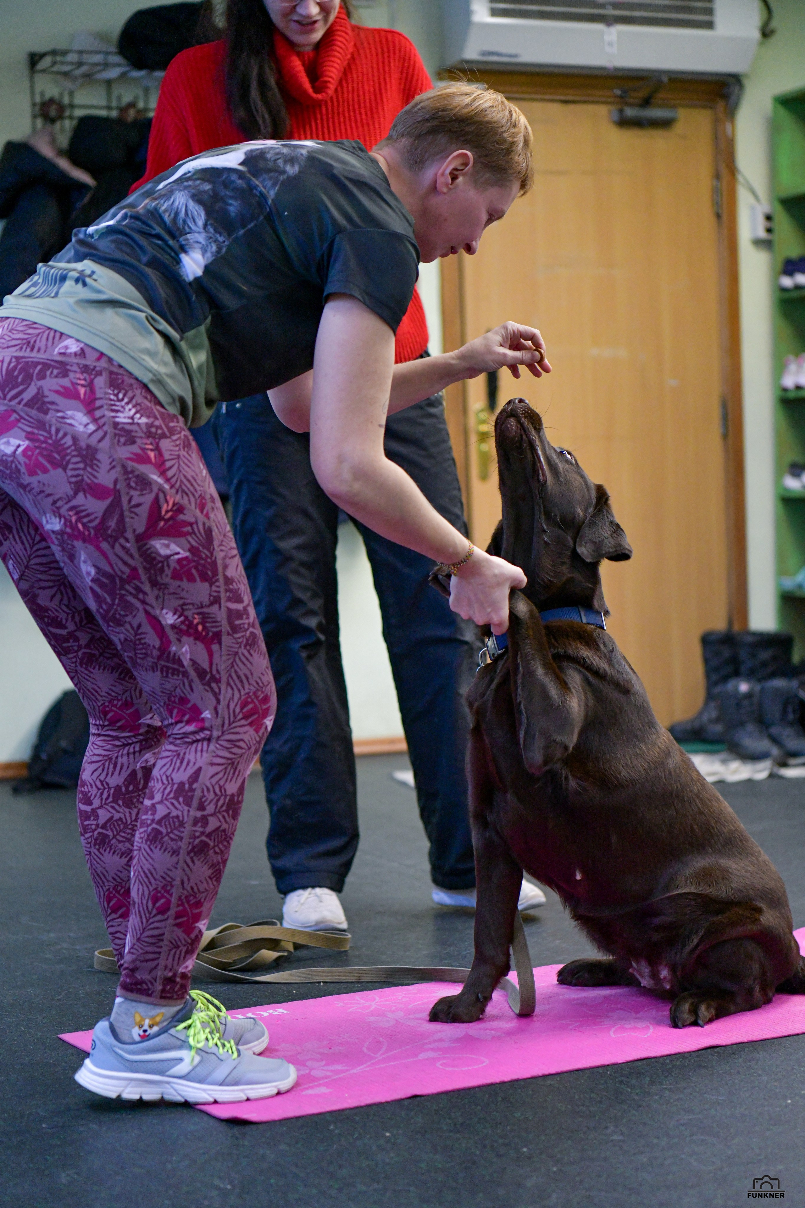 Кинологический клуб «Бодрый хвост». Свой взгляд через объектив