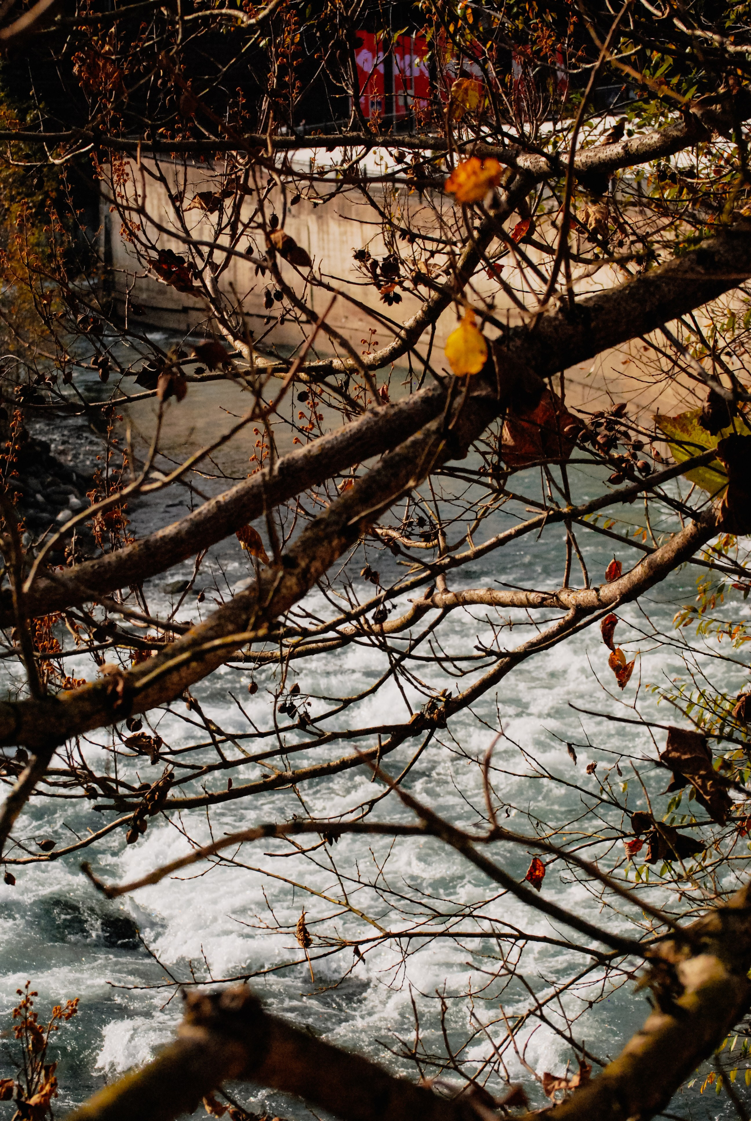 Пейзажная Фотопрогулка. Индивидуальная и Семейная Фотосъёмка для каждого