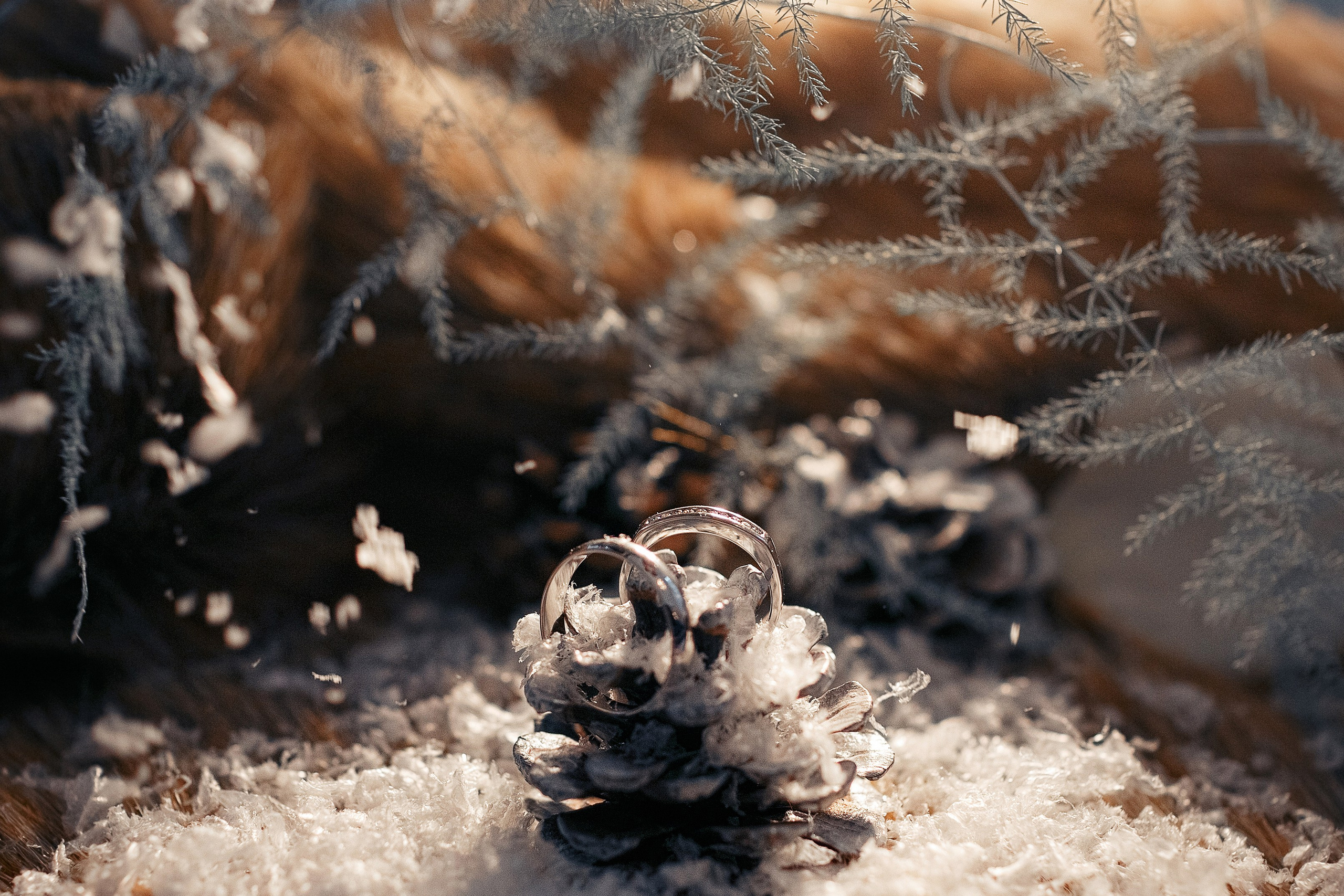 Дмитрий и Евгения. Свадебный, портретный и репортажный фотограф Дмитрий Карпов