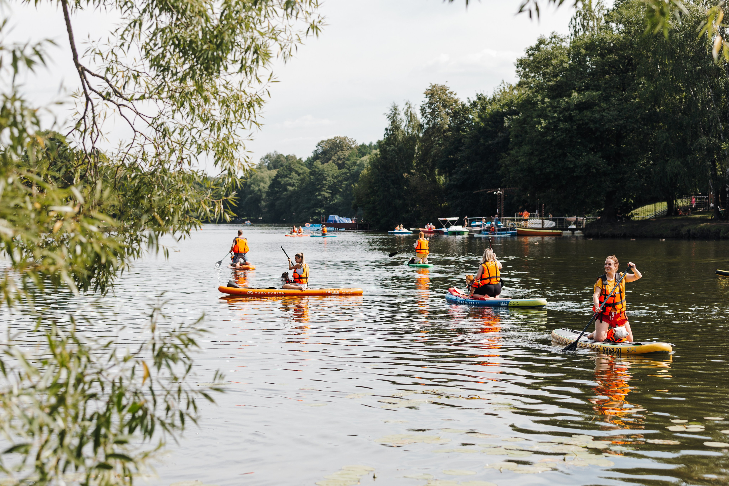 Petshop Sup day. Фотограф анималист Кристина Карпова, Москва