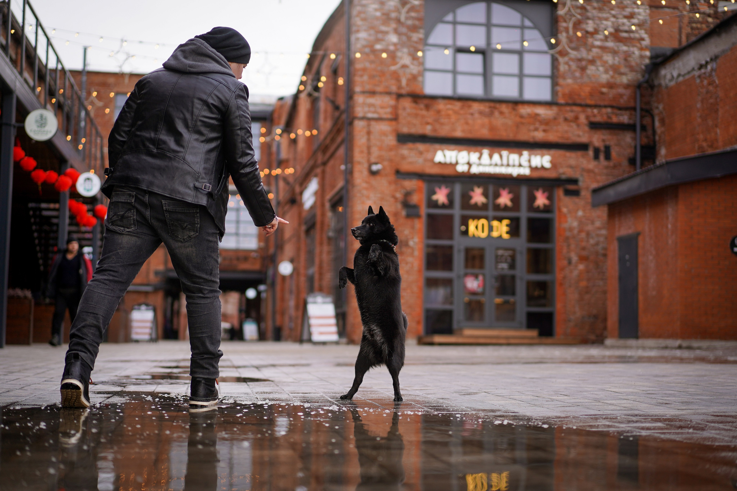 Аня Арчи и Мишель. Фотограф-анималист в Санкт-Петербурге Яна Мартынова