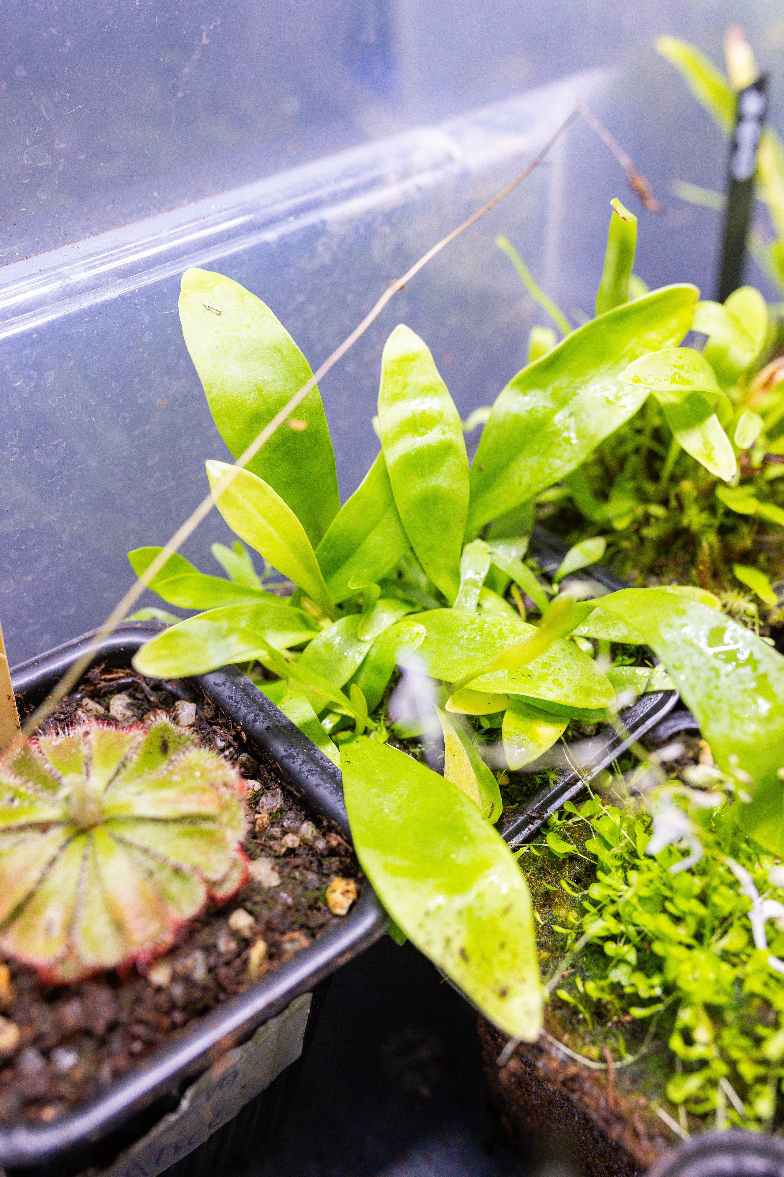 Монстериум 11–12 октября. Александра Куликова фотограф, Москва