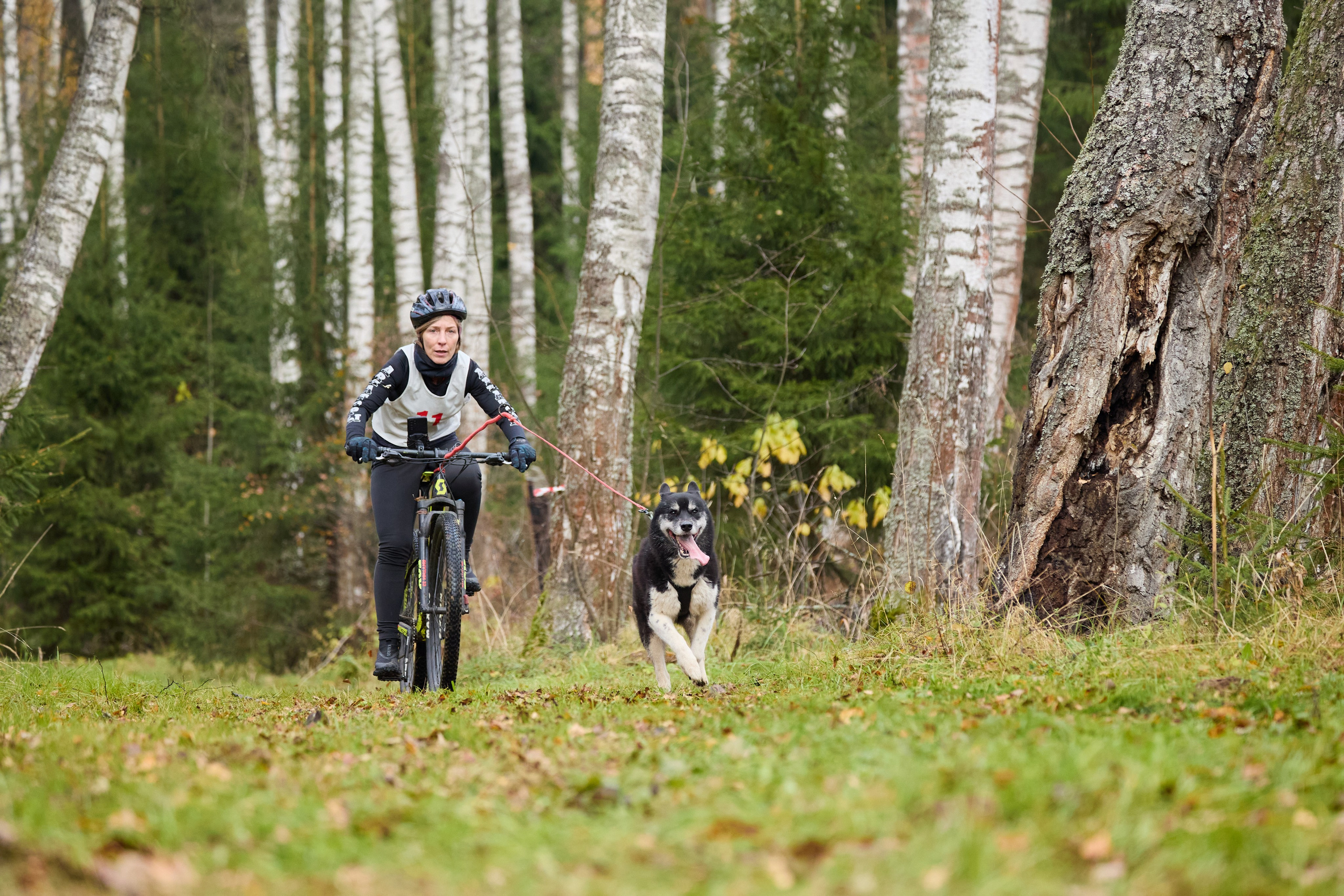 Чемпионат по ЕС Ярославской области. Фотограф Ирина Астор