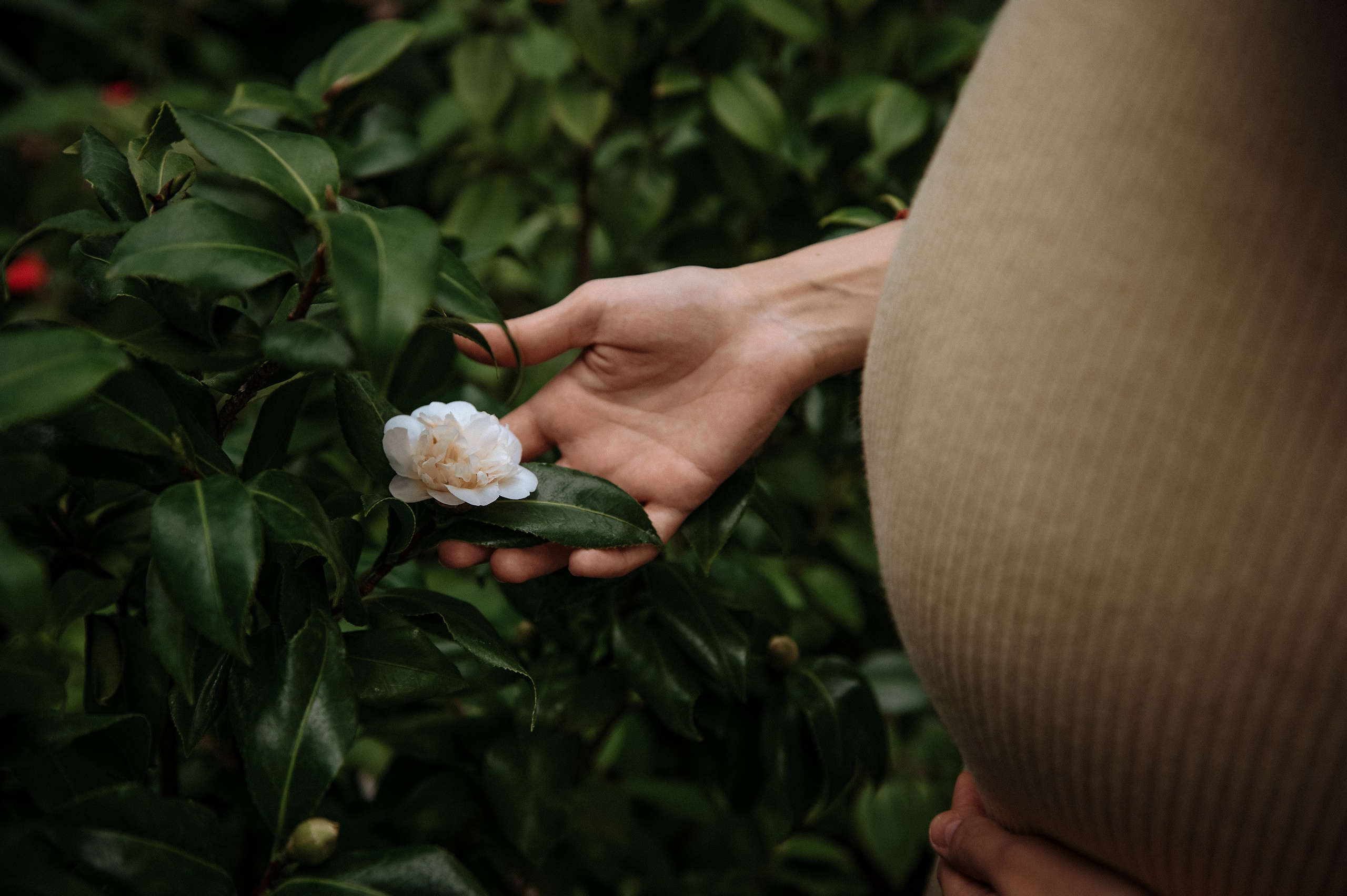 Дима и Наташа. Свадебный, портретный, фотограф беременности в Нижнем Новгороде Алина Зиновьева