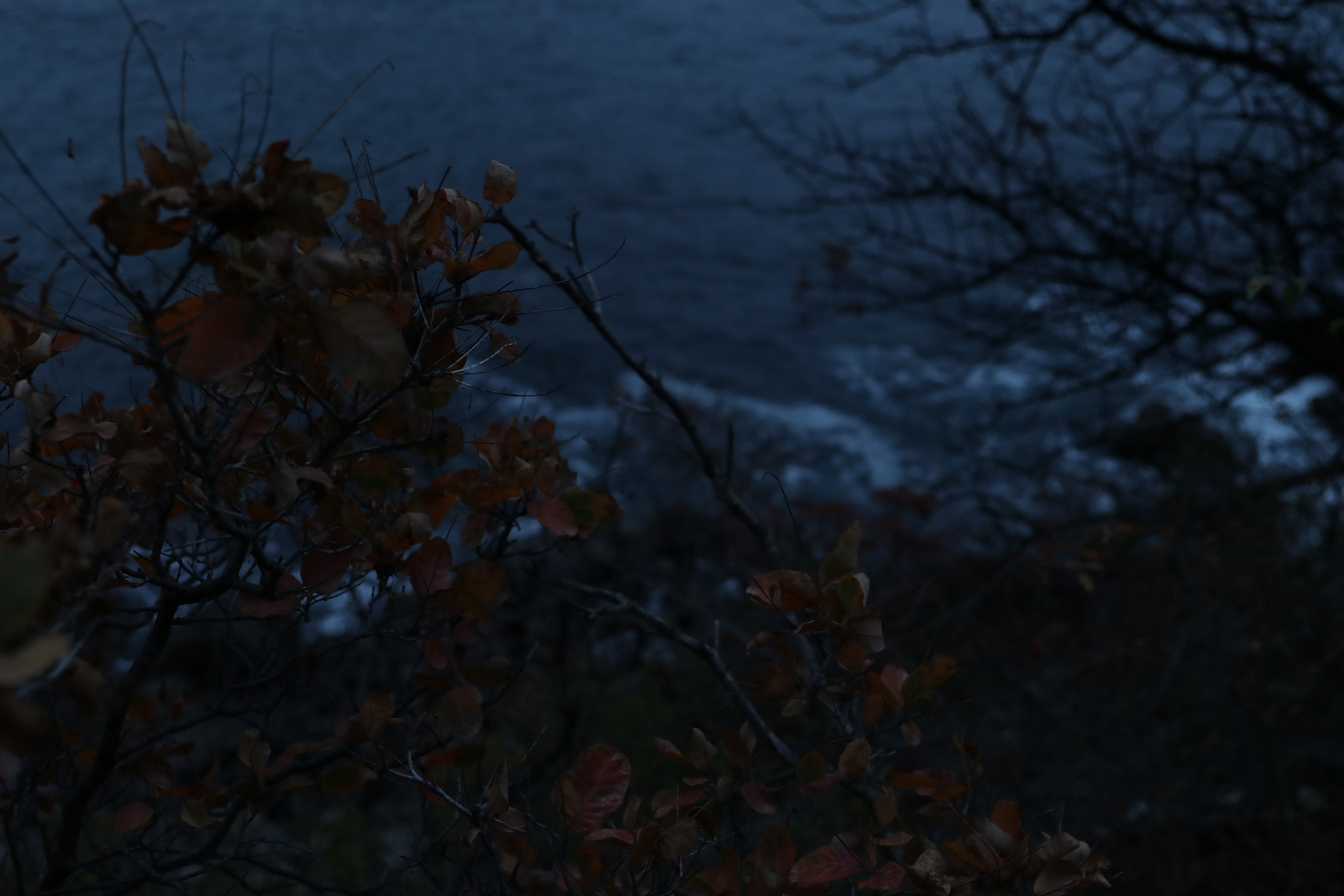 Крым. ЮБК (Гурзуф, Судак и их окрестности). Ноябрь 2023. Путешественник-фотограф из Санкт-Петербурга Татьяна Свистулина