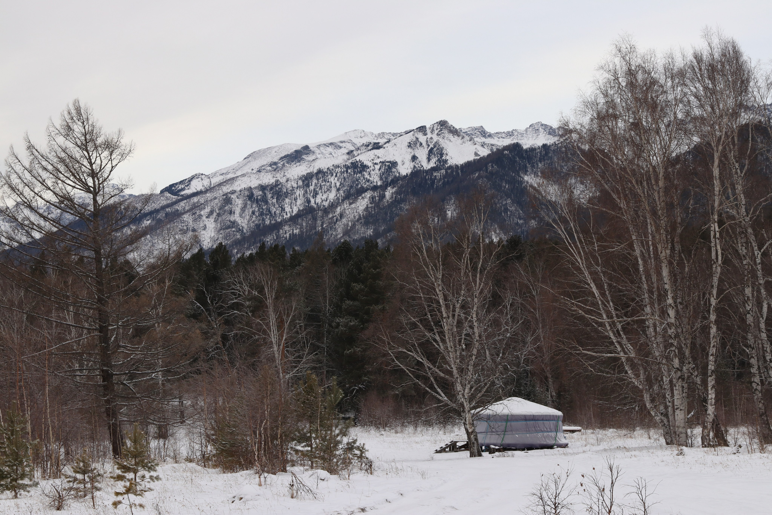 Аршан. Январь 2024. Путешественник-фотограф из Санкт-Петербурга Татьяна Свистулина