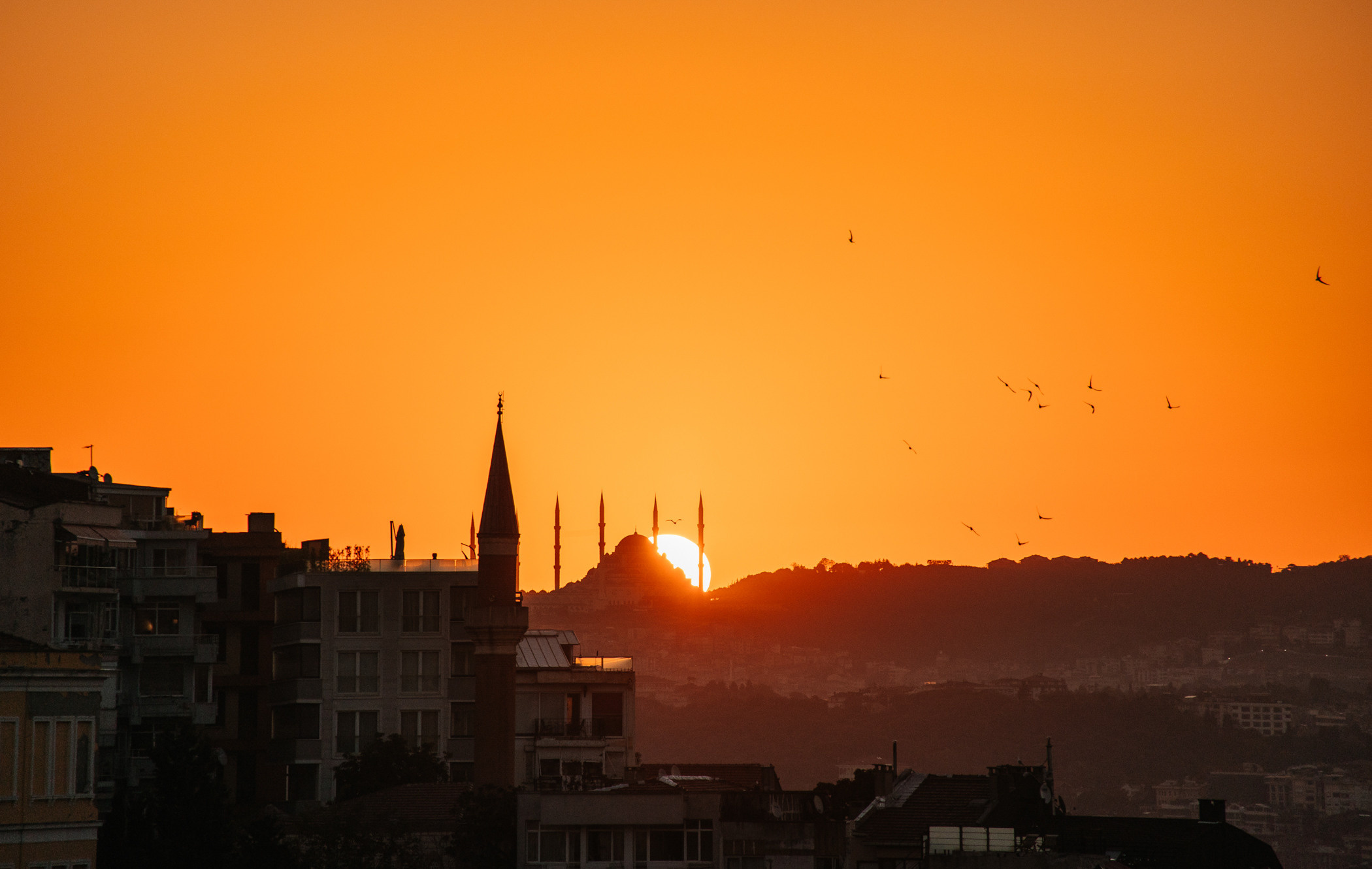 Фотограф и видеограф в Стокгольме — Любовь Лангер