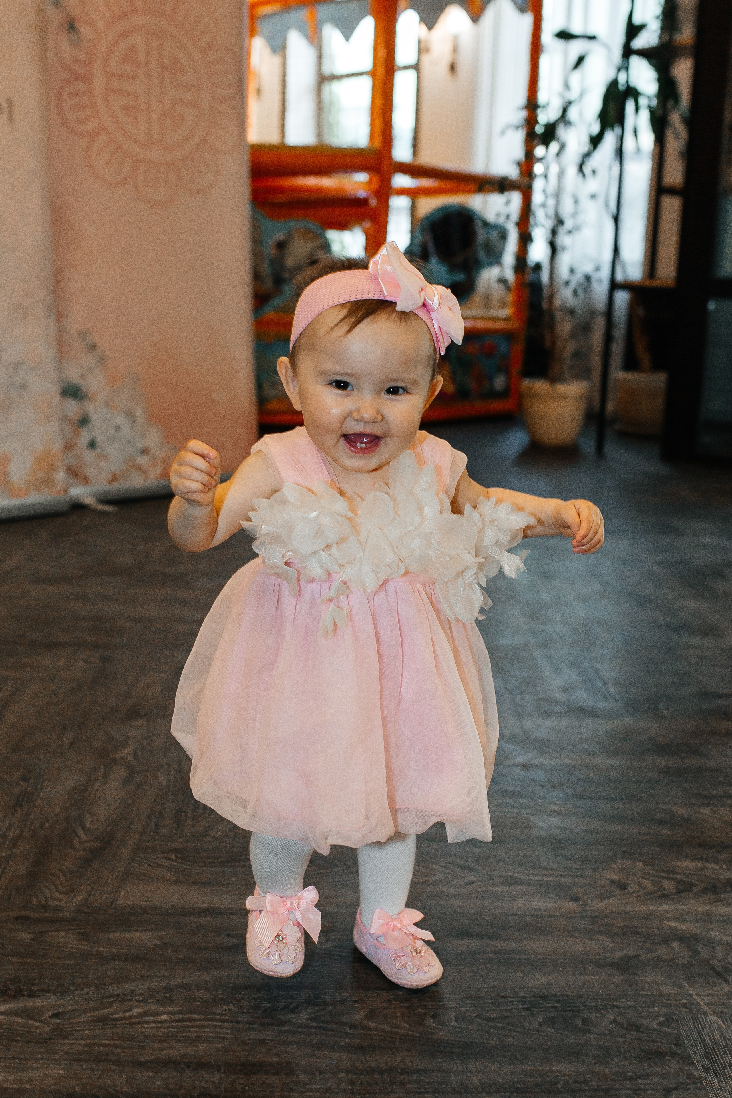 Сакуре 1 годик