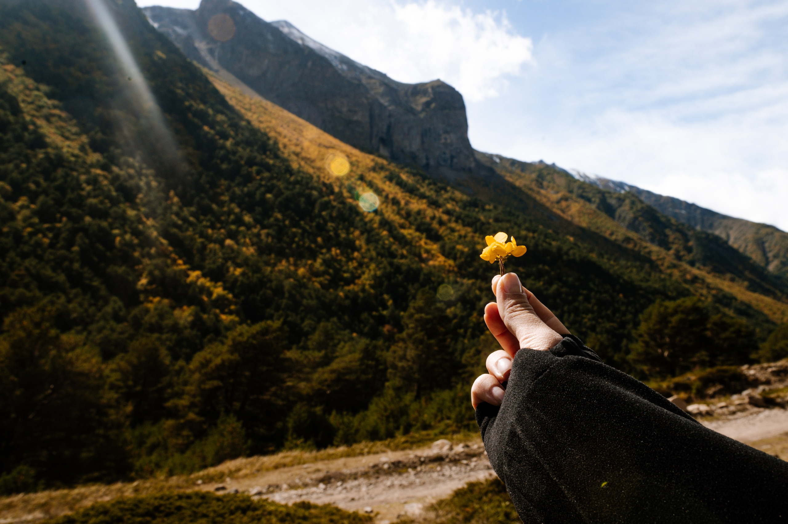 Выездные проекты. Сайт фотографа Данилы Пащенко