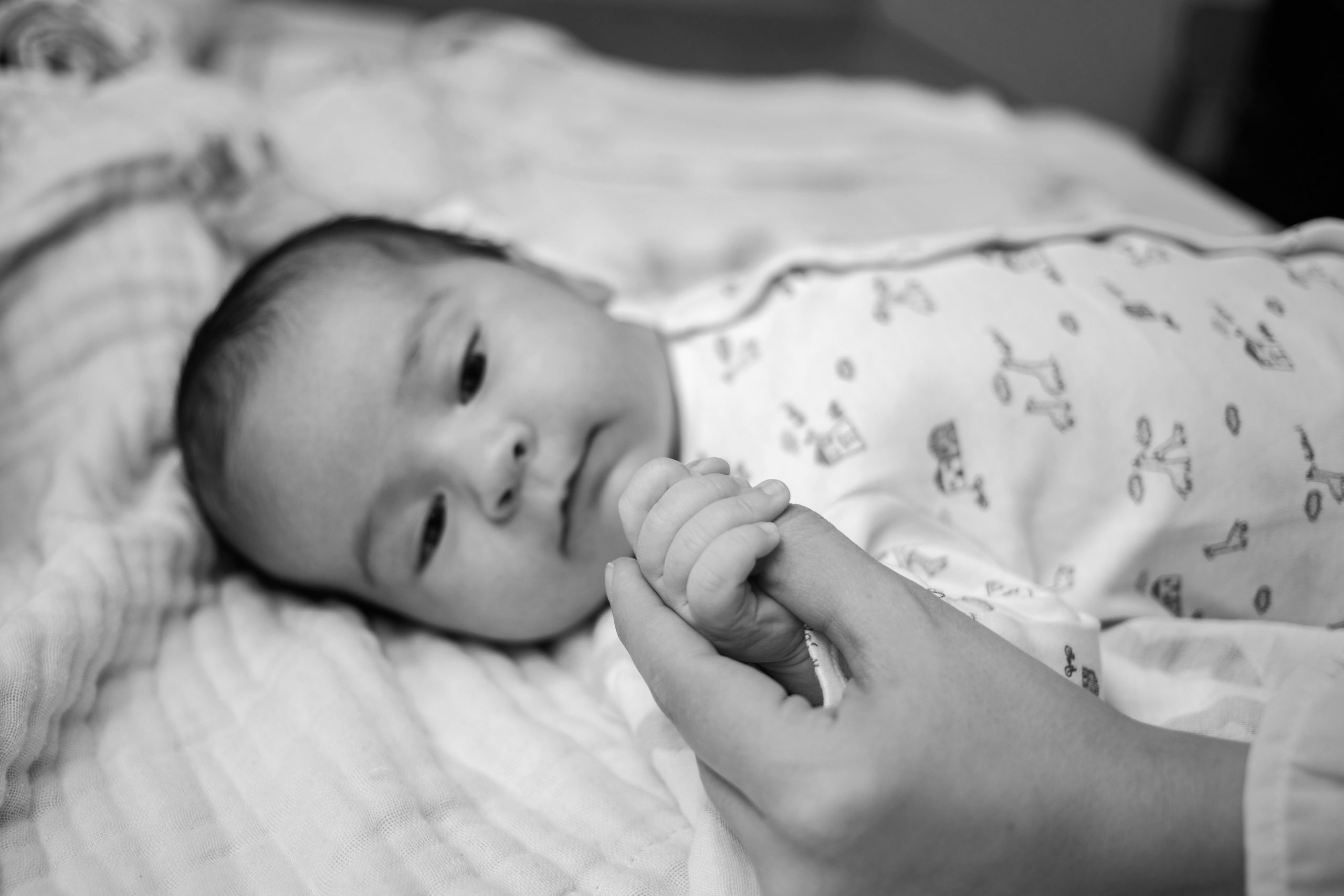 Истории. Фотограф Алина Гашникова