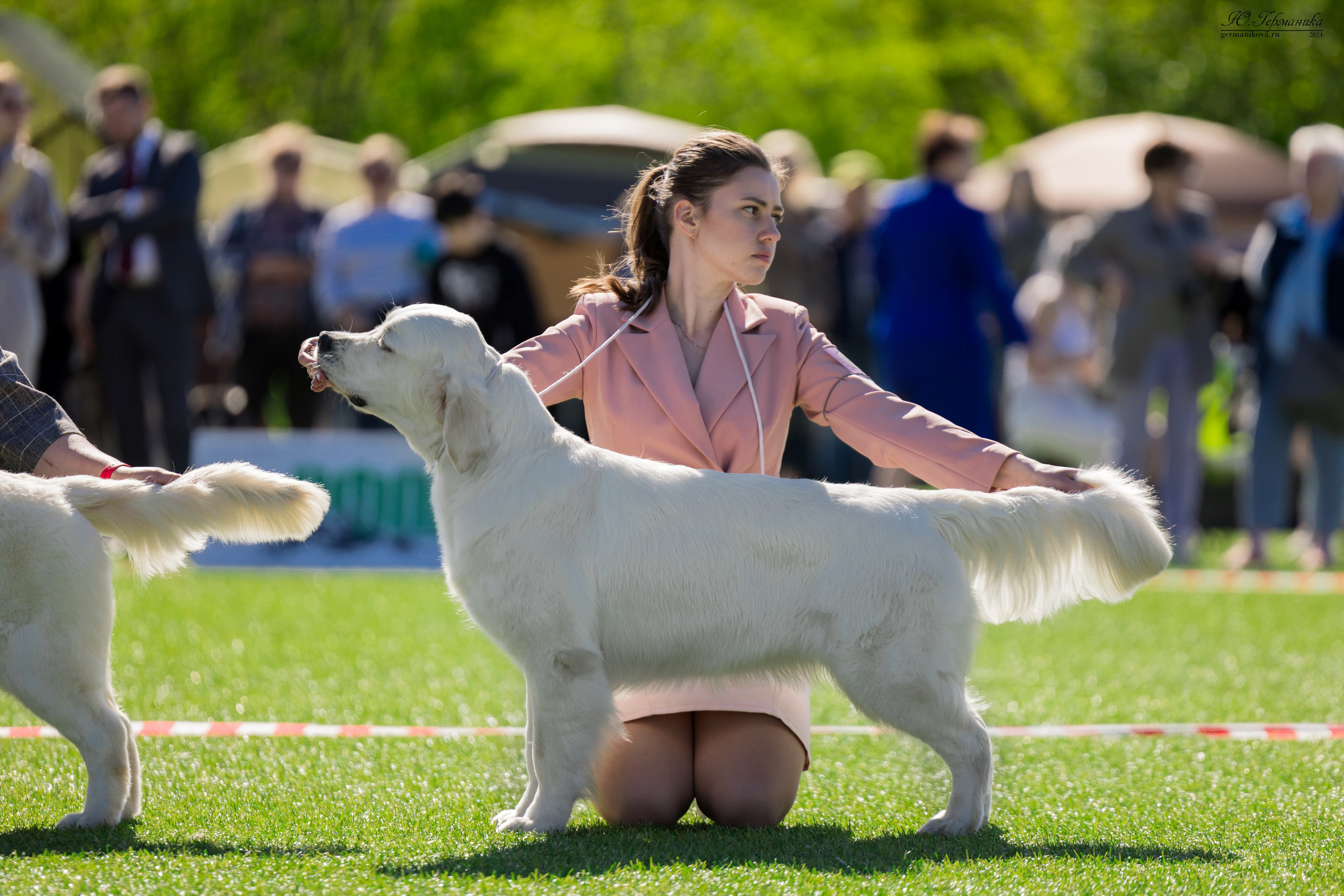 Суздаль 18-19.05.2024. Фотограф-анималист Юлия Германика