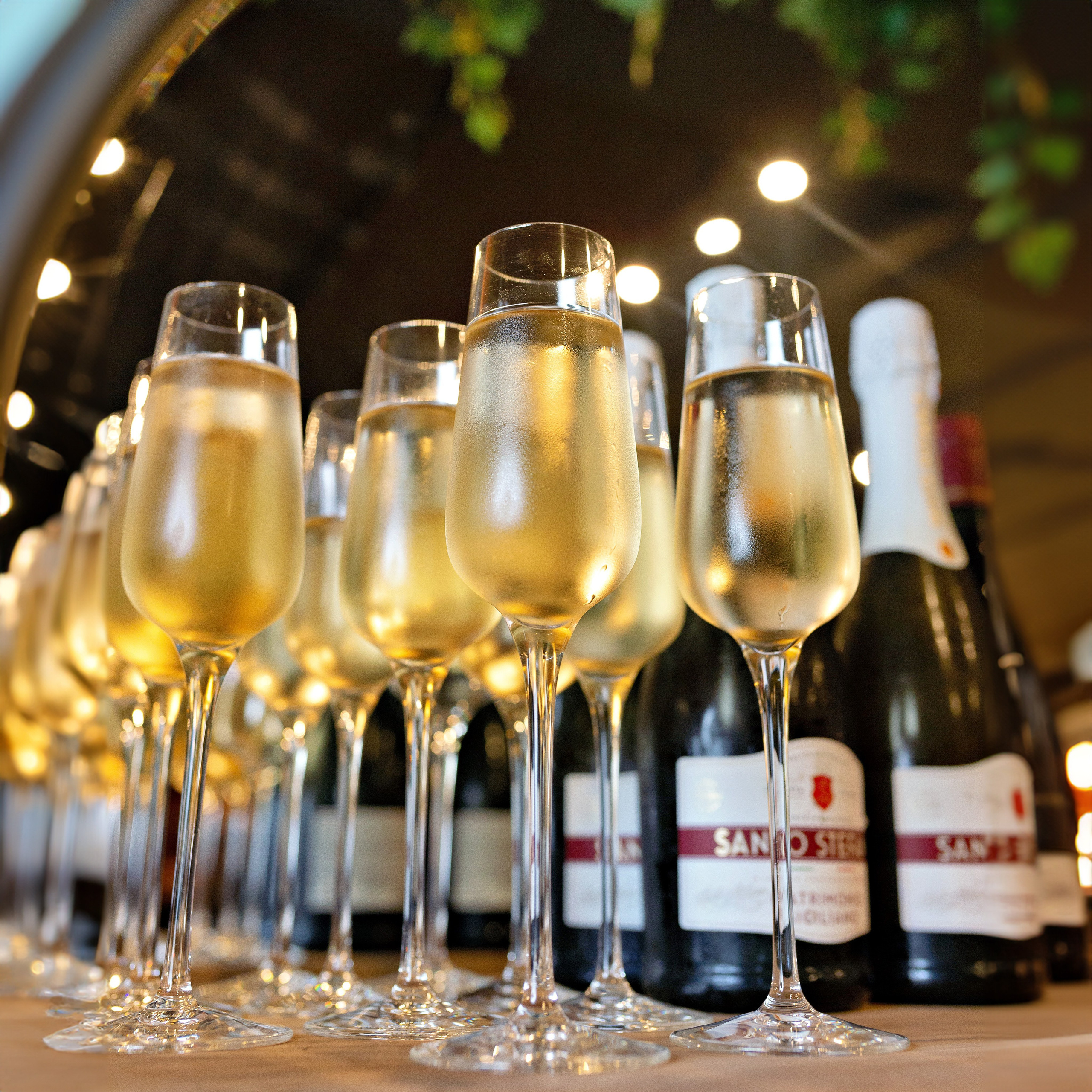 Репортажный фотограф в Атырау. Фотограф в Атырау Максим Стадниченко