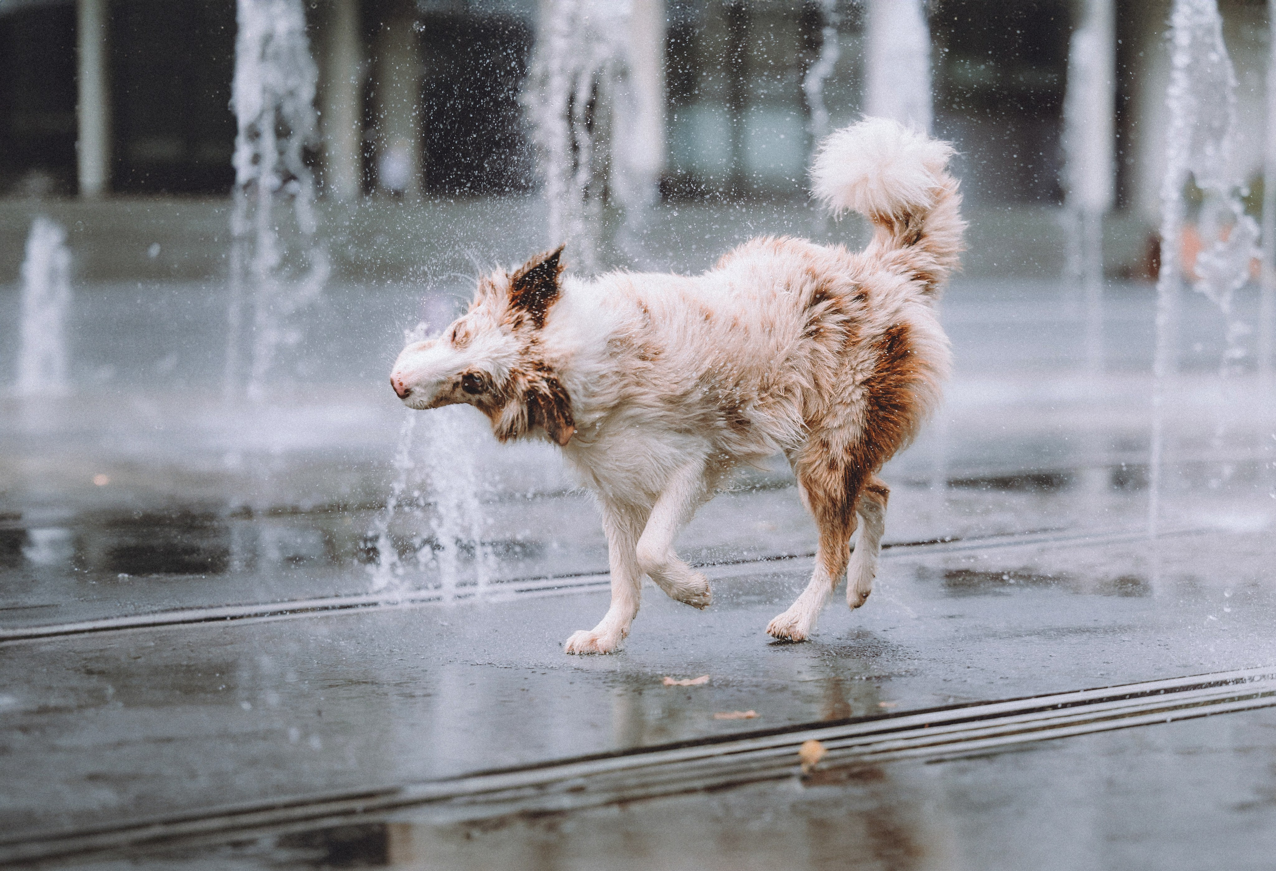 Один и его семья