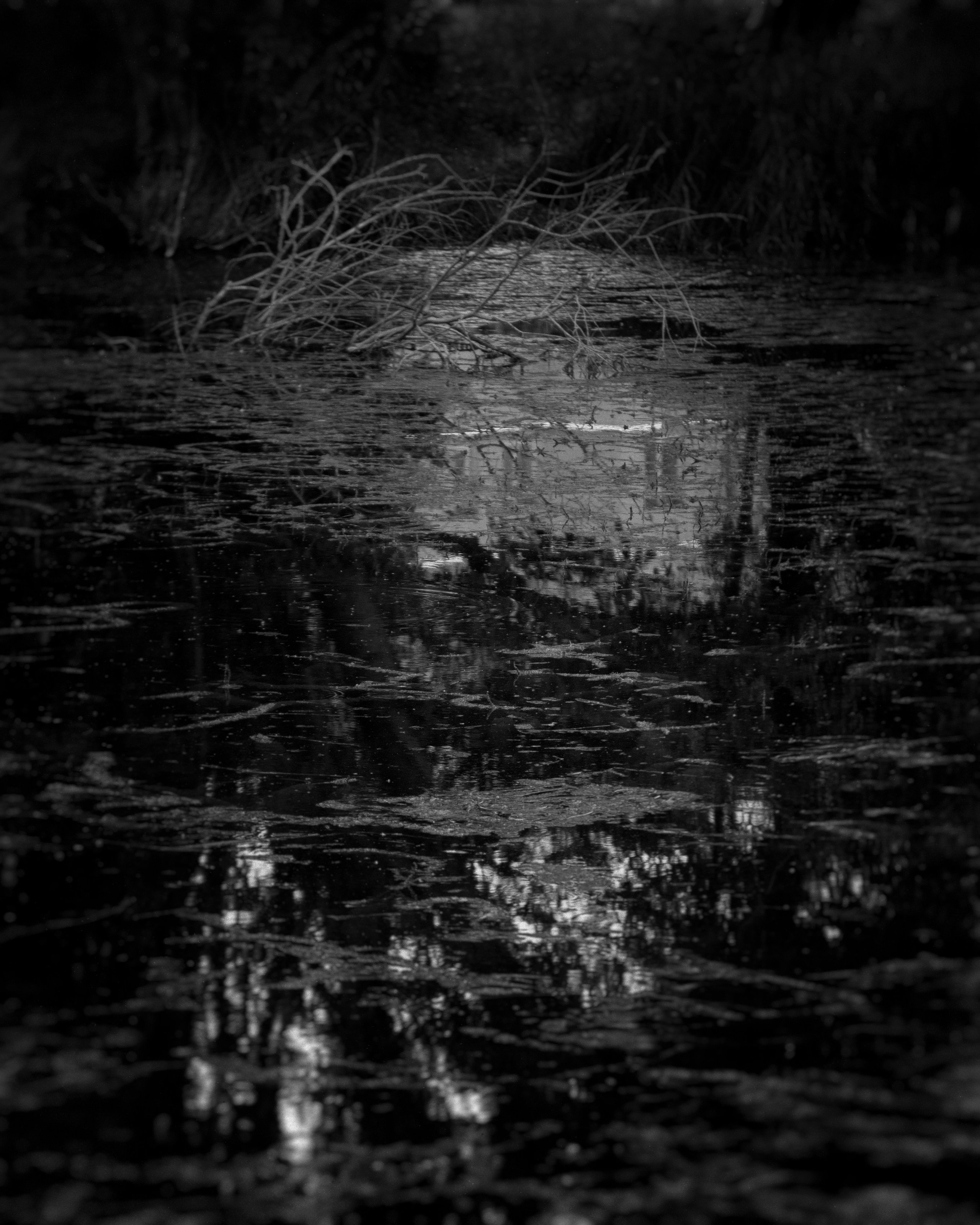 Homeland Adygea. Visual artist