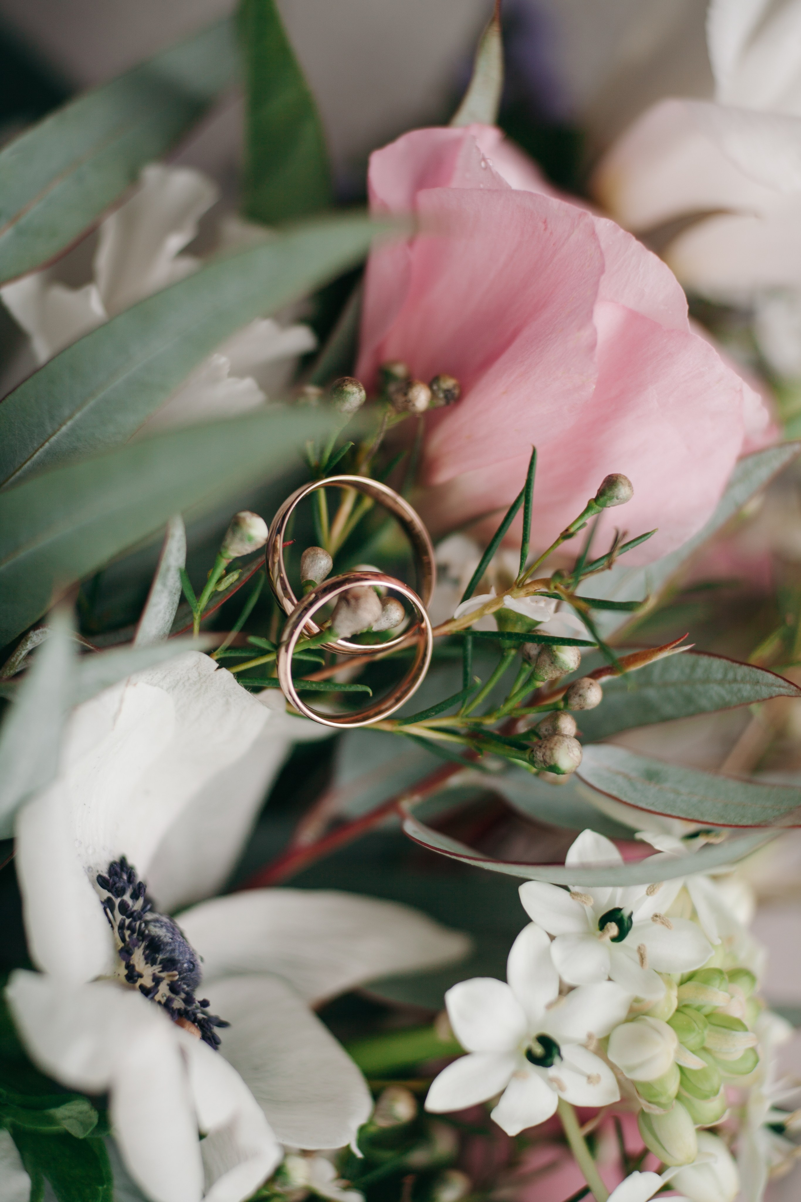 Свадьба. Семейный и детский фотограф в Краснодаре Брусилова Марина