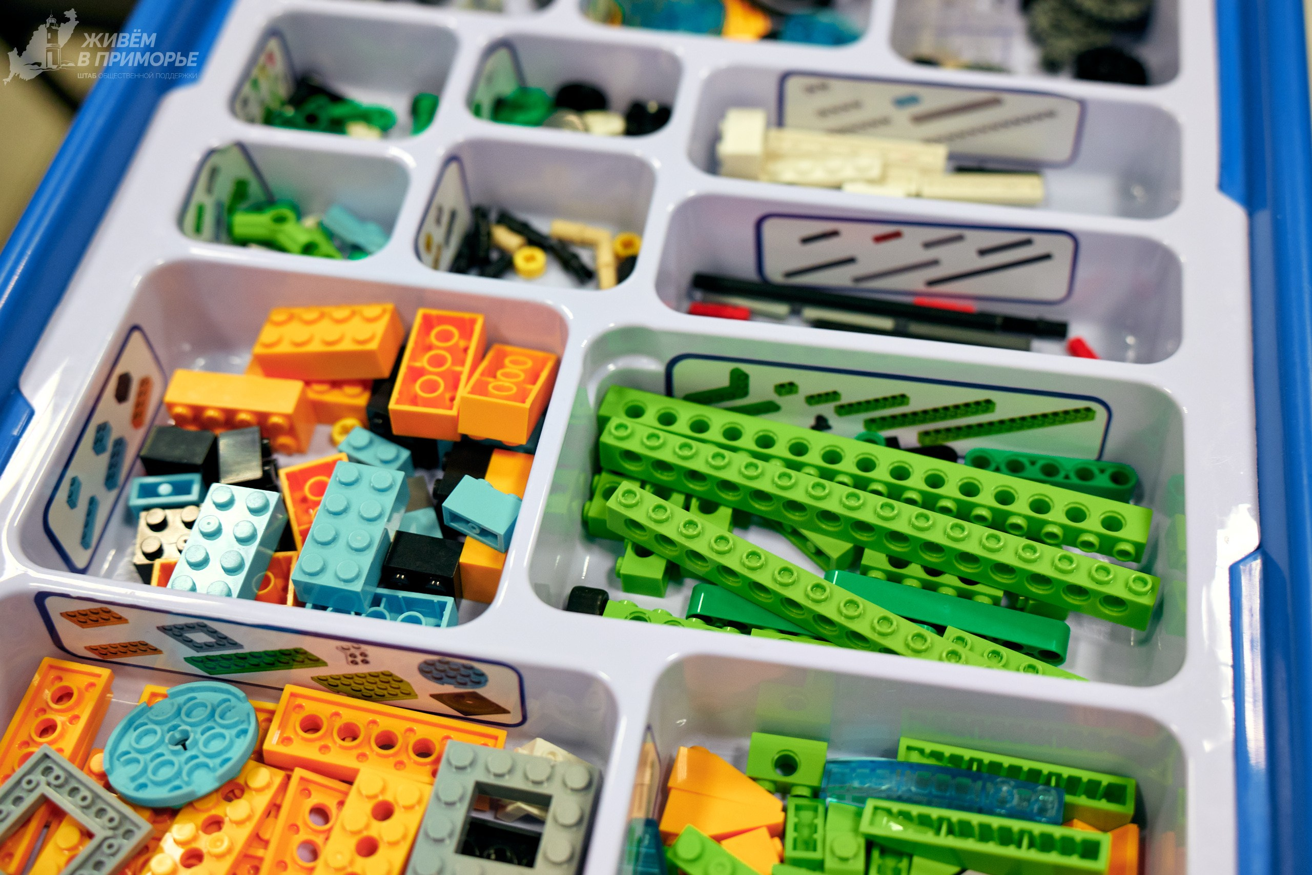 Ярмарка образования 2025.03.16. Профессиональный репортажный фотограф Инесса Иминова