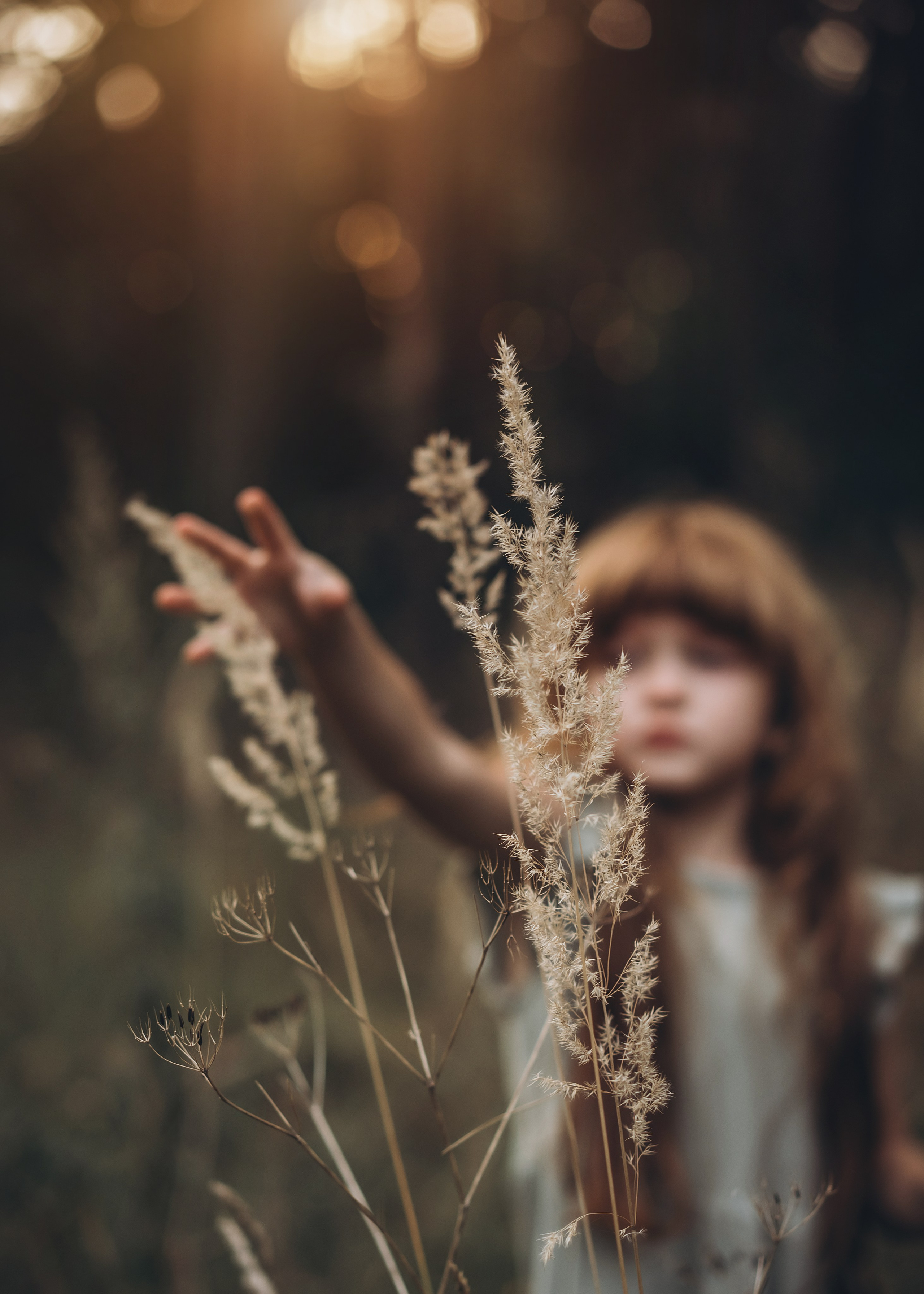 Портфолио. Семейный и детский фотограф в Москве Елизавета Царькова