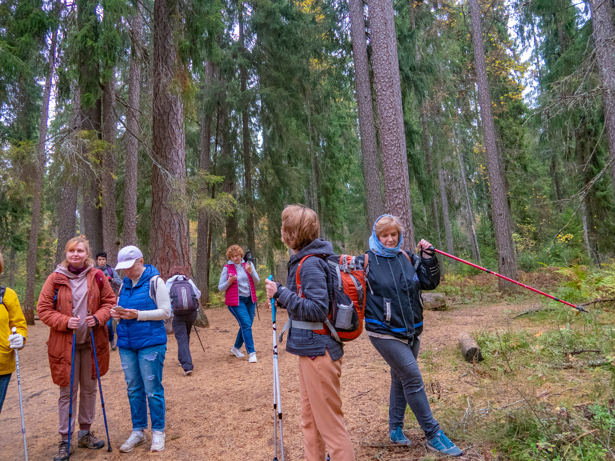 Линдуловская Роща. Фото из походов и путешествий клуба скандинавской ходьбы Пойдем Ходить