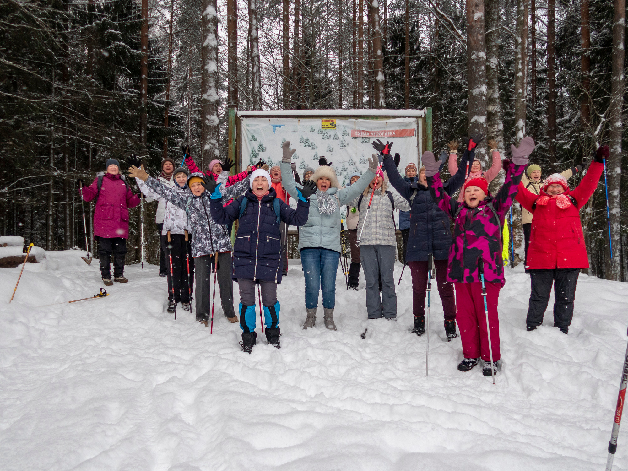 В Токсово к зубрам. Фото из походов и путешествий клуба скандинавской ходьбы Пойдем Ходить