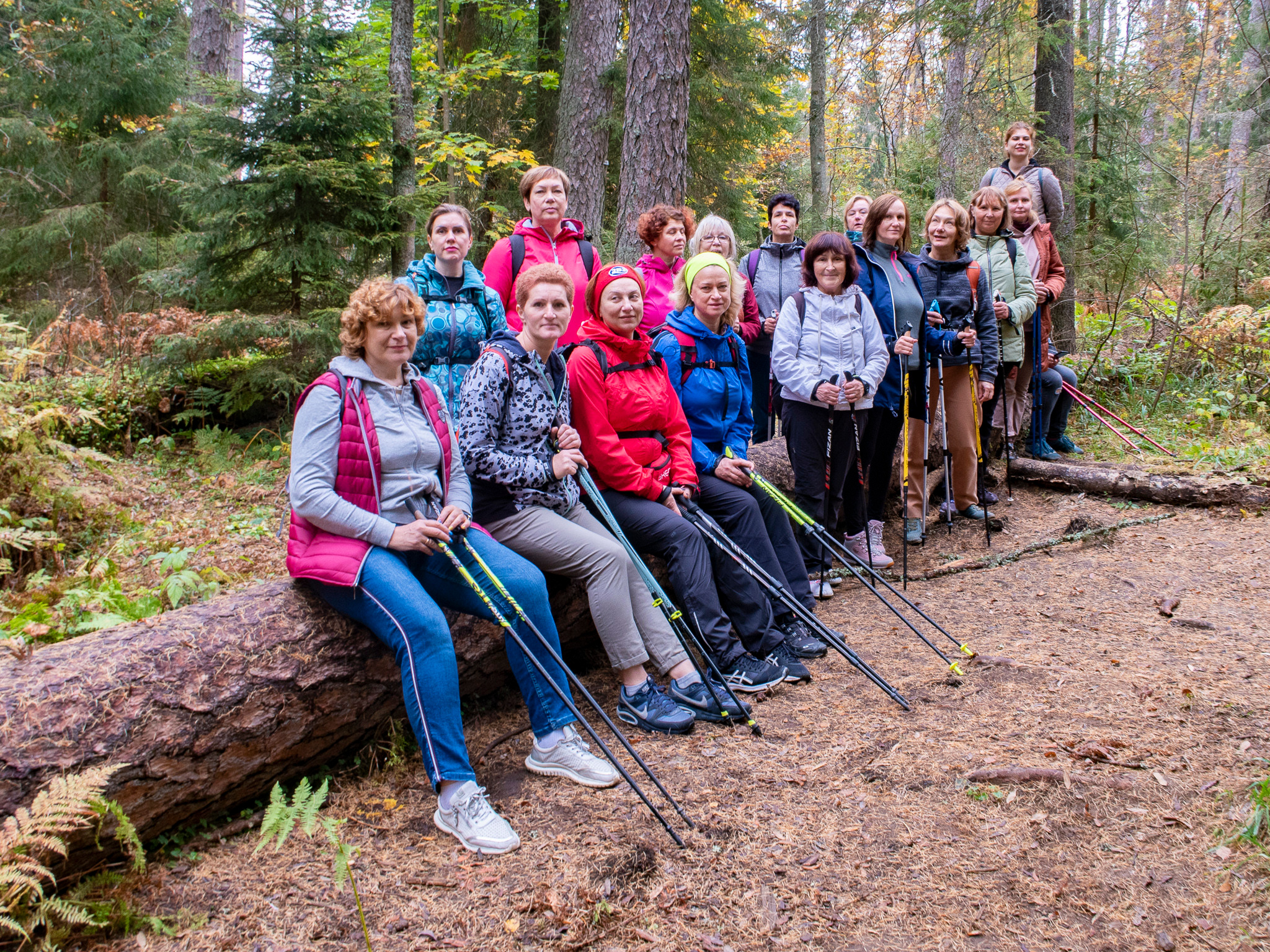 Линдуловская Роща. Фото из походов и путешествий клуба скандинавской ходьбы Пойдем Ходить