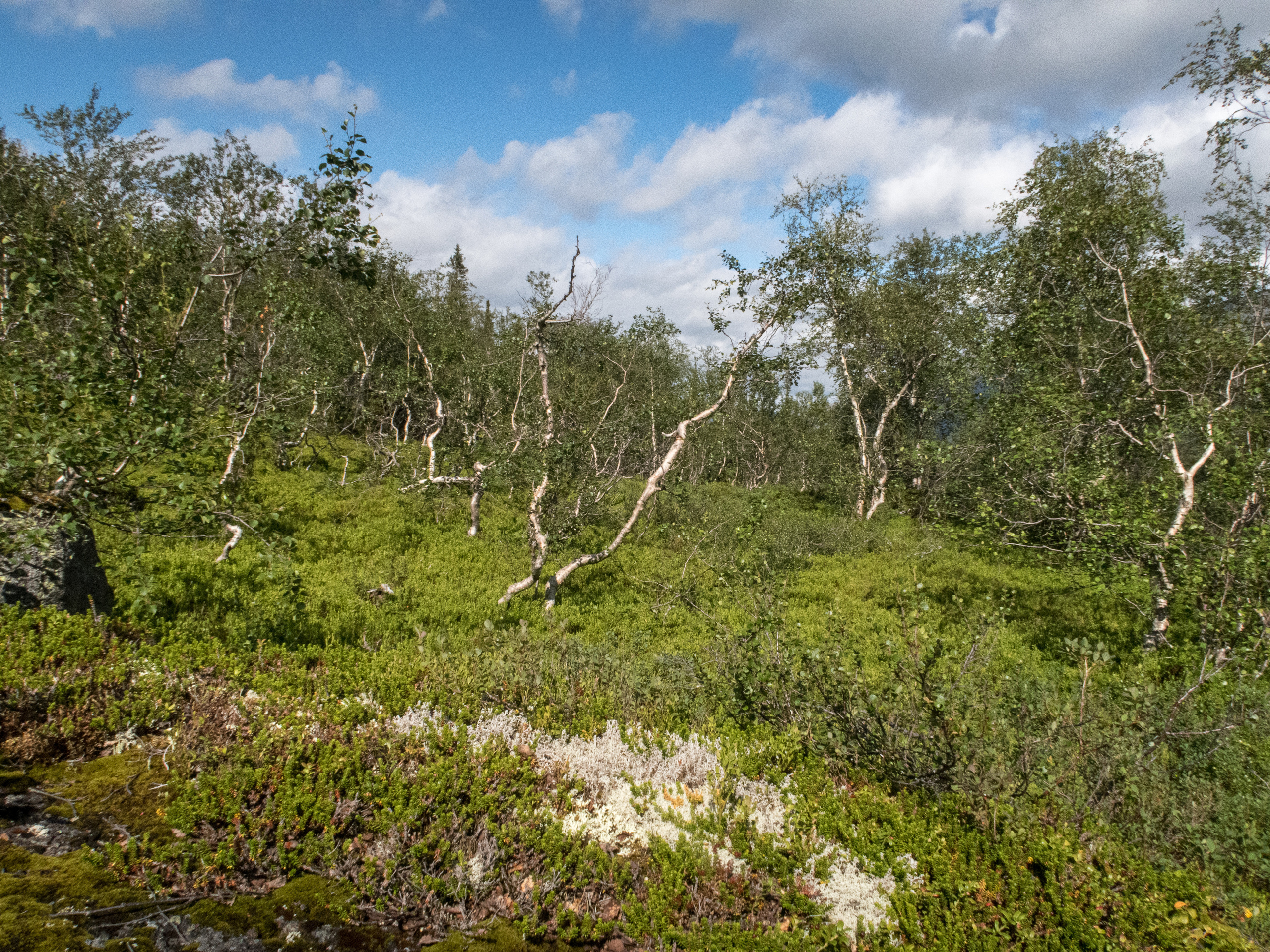 Кольский. Фото из походов и путешествий клуба скандинавской ходьбы Пойдем Ходить