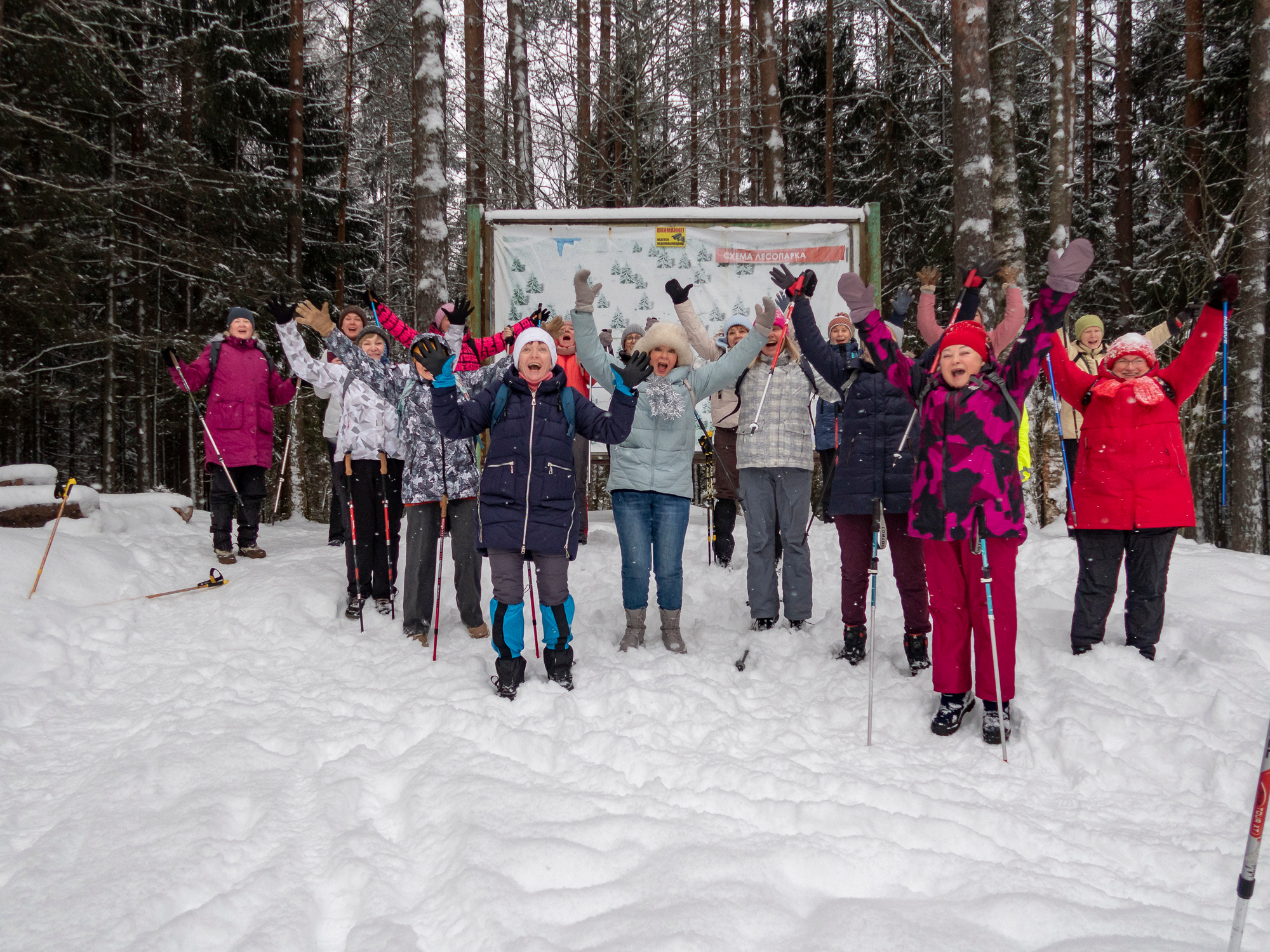 В Токсово к зубрам. Фото из походов и путешествий клуба скандинавской ходьбы Пойдем Ходить