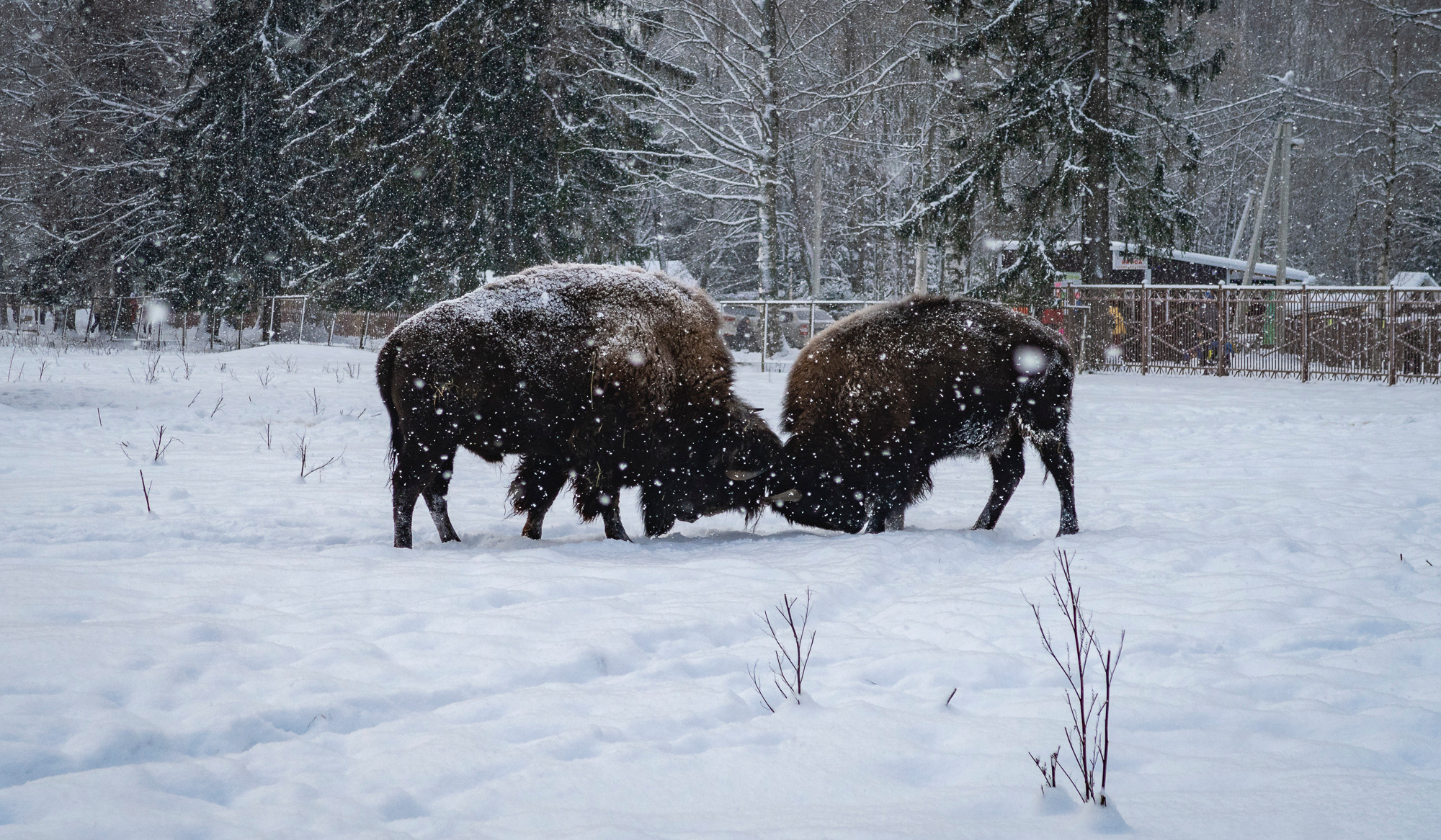 Фото из походов и путешествий клуба скандинавской ходьбы Пойдем Ходить