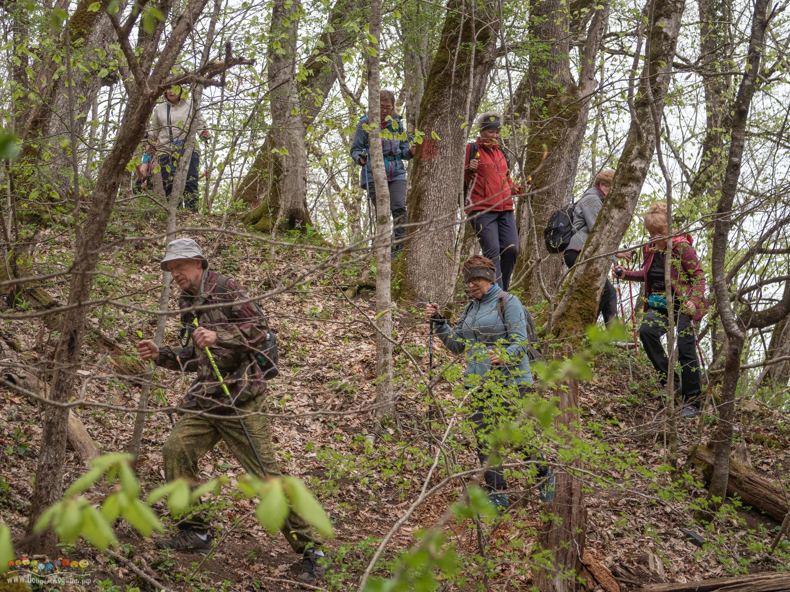 Адыгея — страна водопадов. Фото из походов и путешествий клуба скандинавской ходьбы Пойдем Ходить