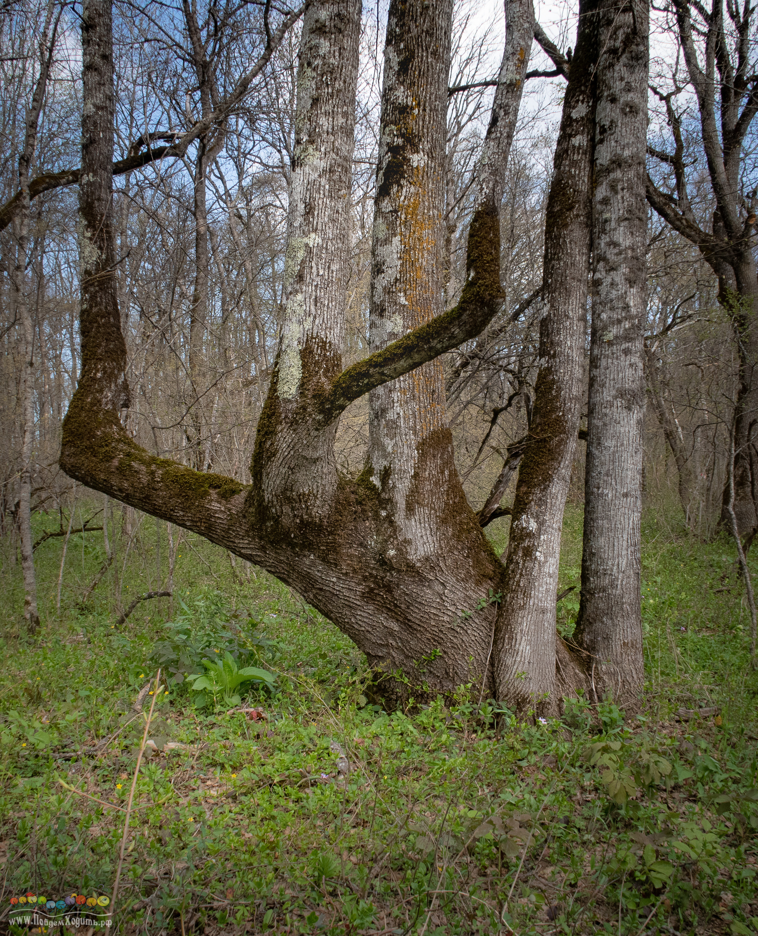 Адыгея — страна водопадов. Фото из походов и путешествий клуба скандинавской ходьбы Пойдем Ходить