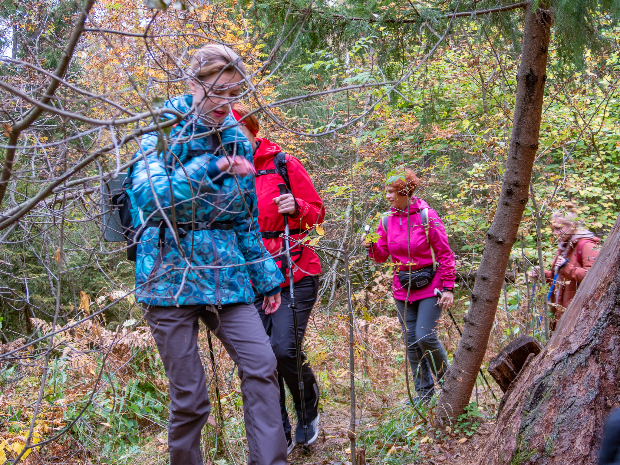 Линдуловская Роща. Фото из походов и путешествий клуба скандинавской ходьбы Пойдем Ходить