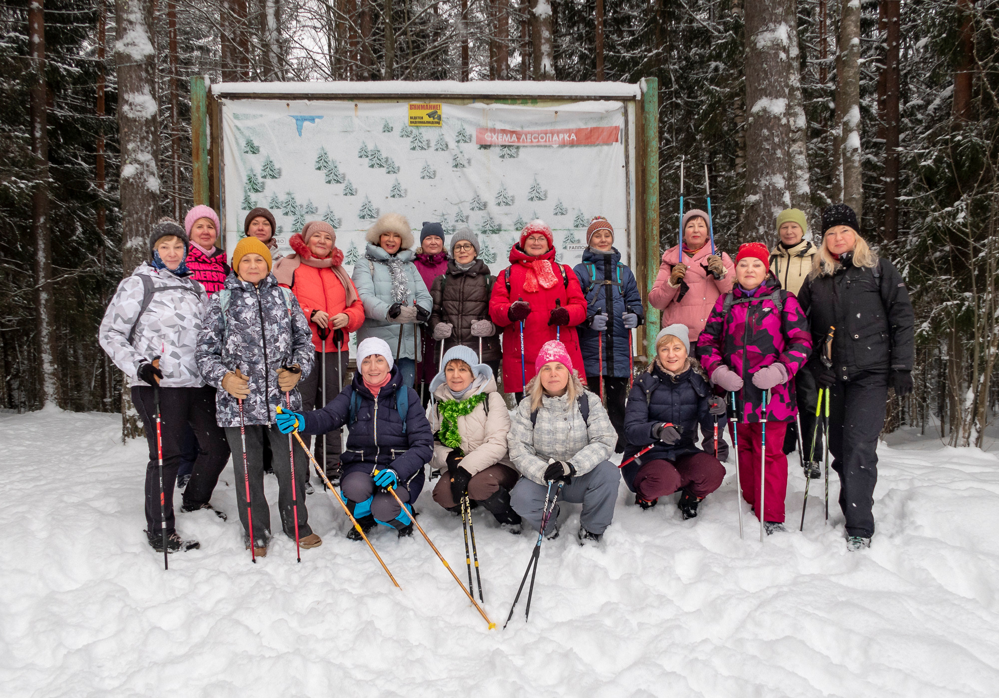 В Токсово к зубрам. Фото из походов и путешествий клуба скандинавской ходьбы Пойдем Ходить