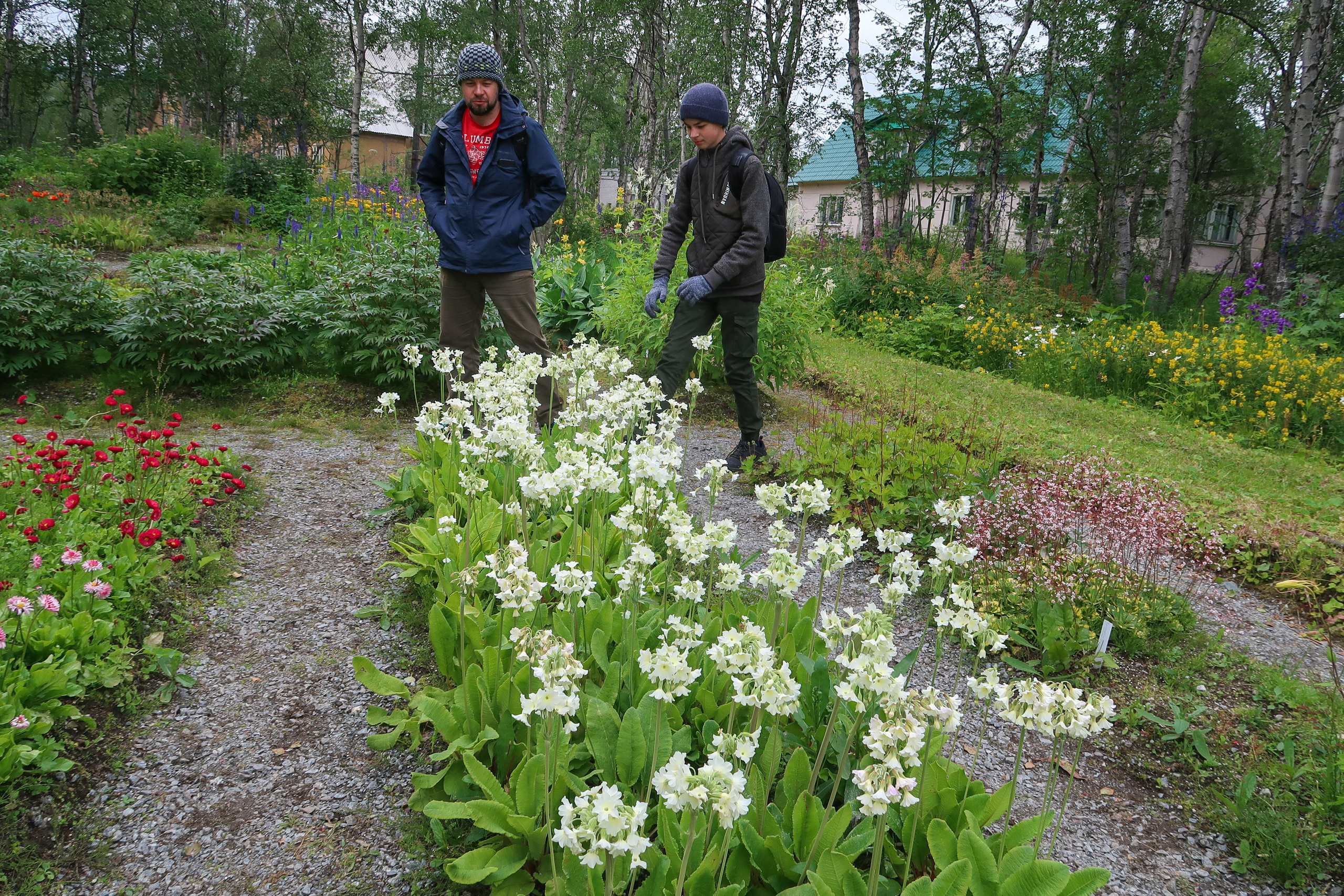 Кольский. Фото из походов и путешествий клуба скандинавской ходьбы Пойдем Ходить