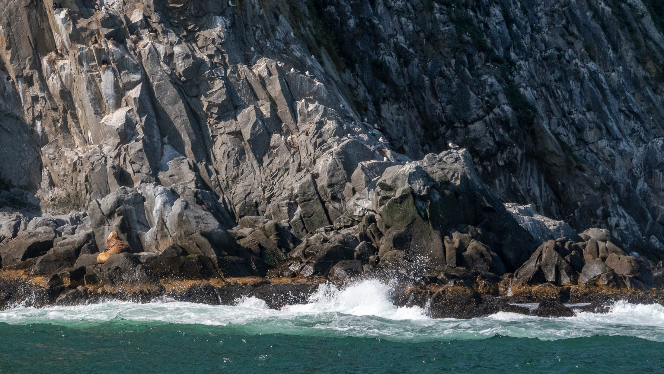 Камчатка. Фото из походов и путешествий клуба скандинавской ходьбы Пойдем Ходить