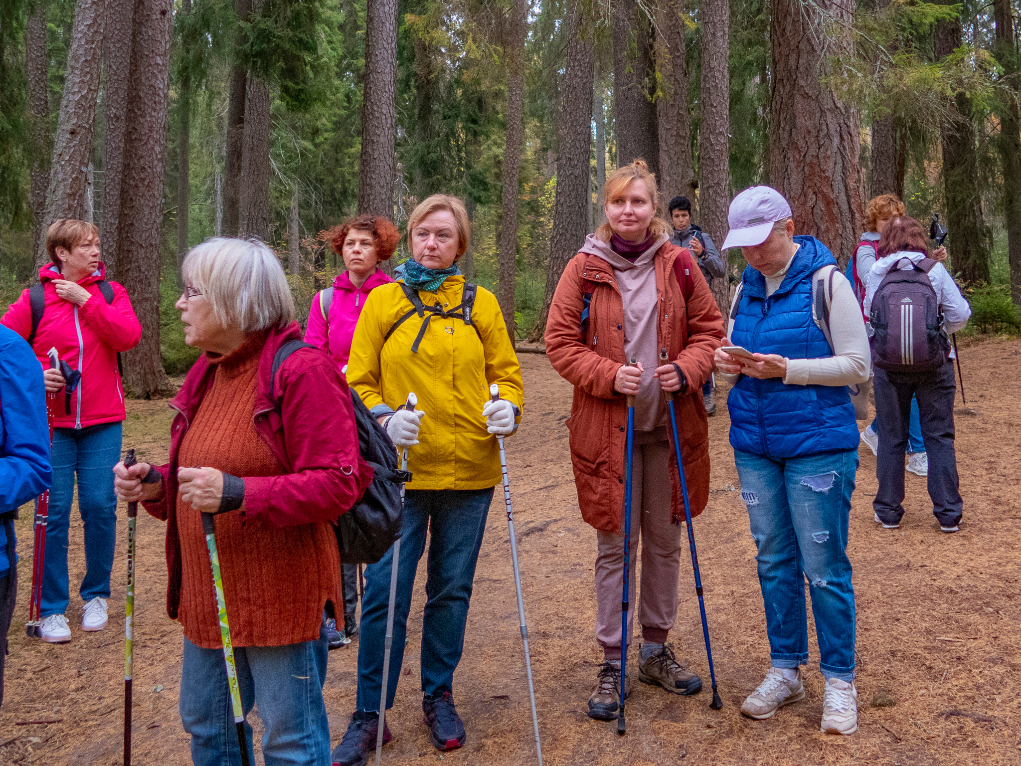 Линдуловская Роща. Фото из походов и путешествий клуба скандинавской ходьбы Пойдем Ходить