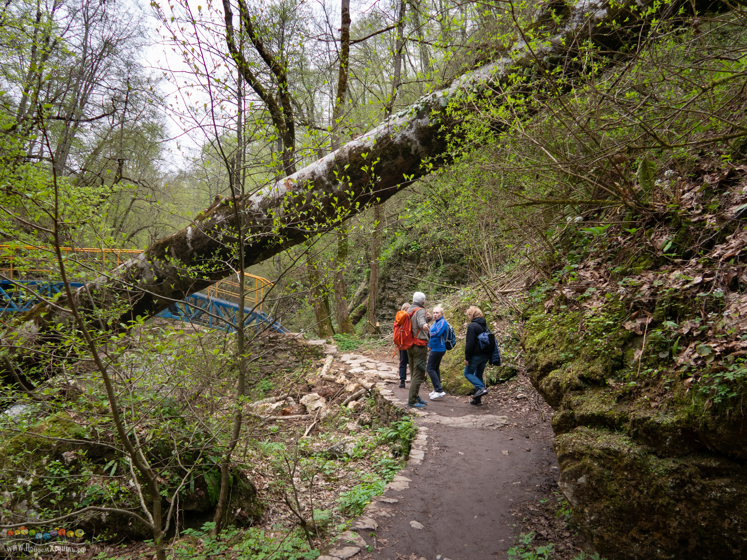 Адыгея — страна водопадов. Фото из походов и путешествий клуба скандинавской ходьбы Пойдем Ходить