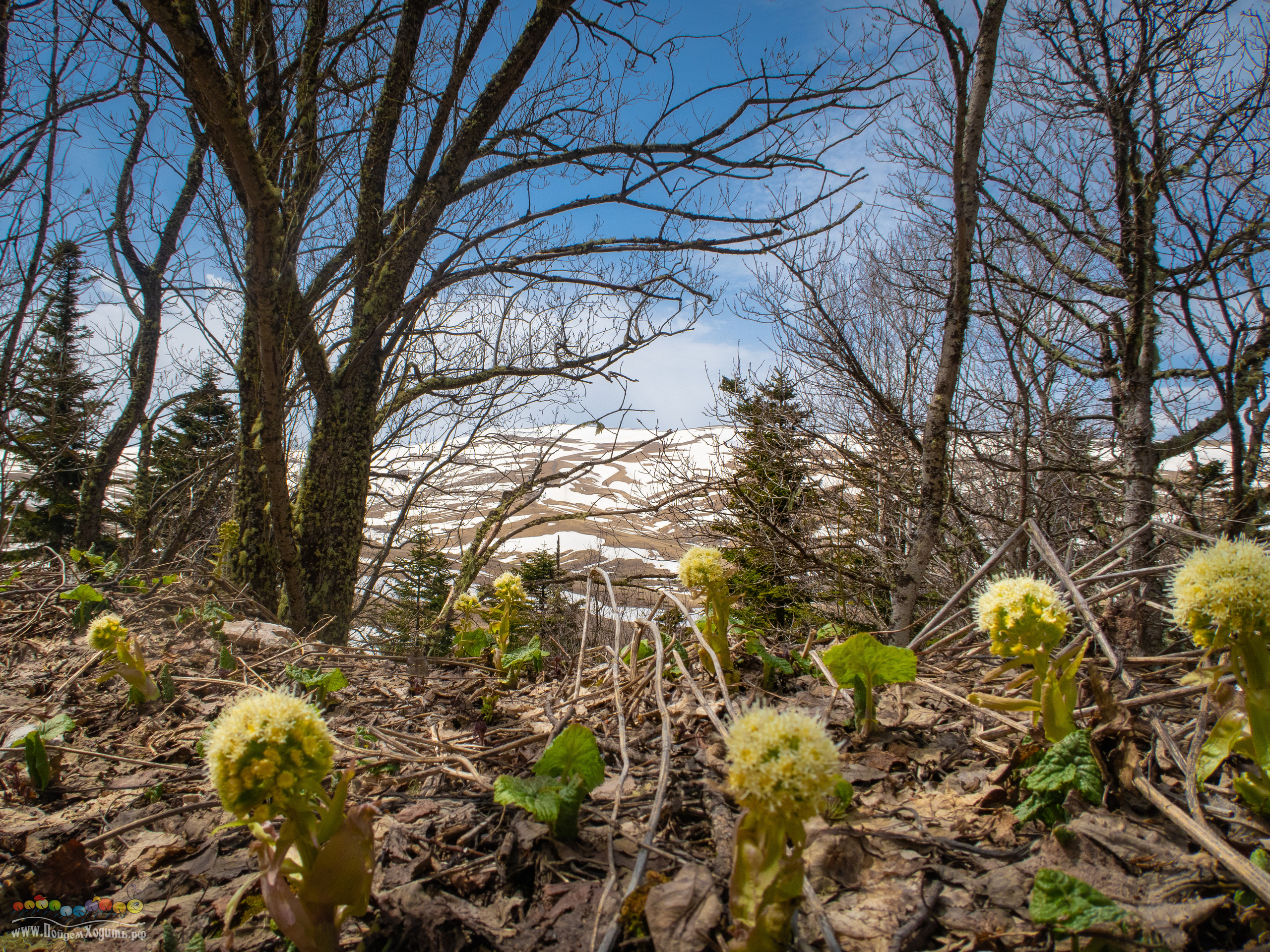 Адыгея — страна водопадов. Фото из походов и путешествий клуба скандинавской ходьбы Пойдем Ходить